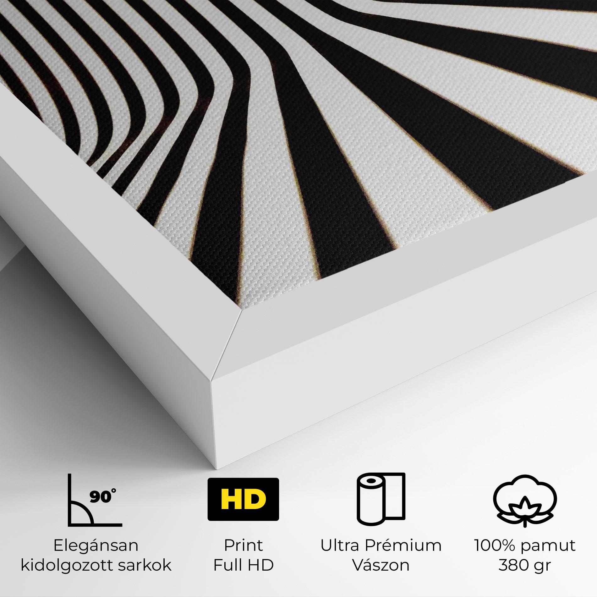 Vászonkép Black And White Illusion mockup 4