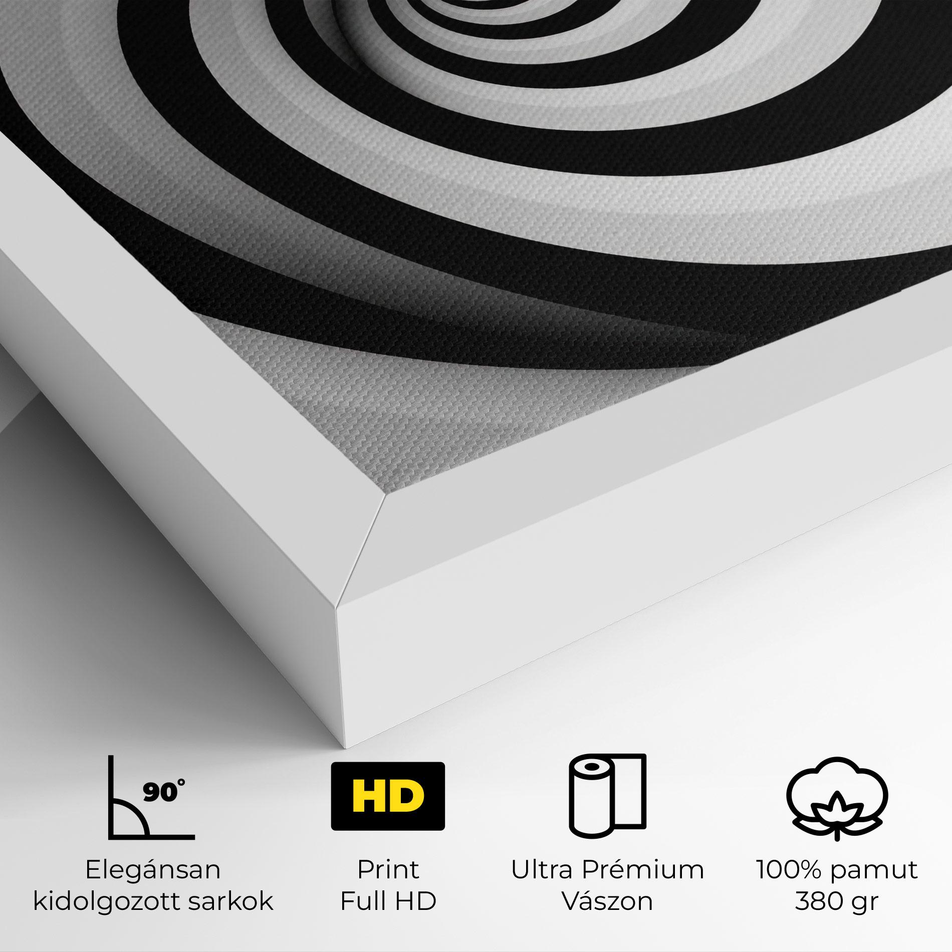 Vászonkép Black White Spiral mockup 4