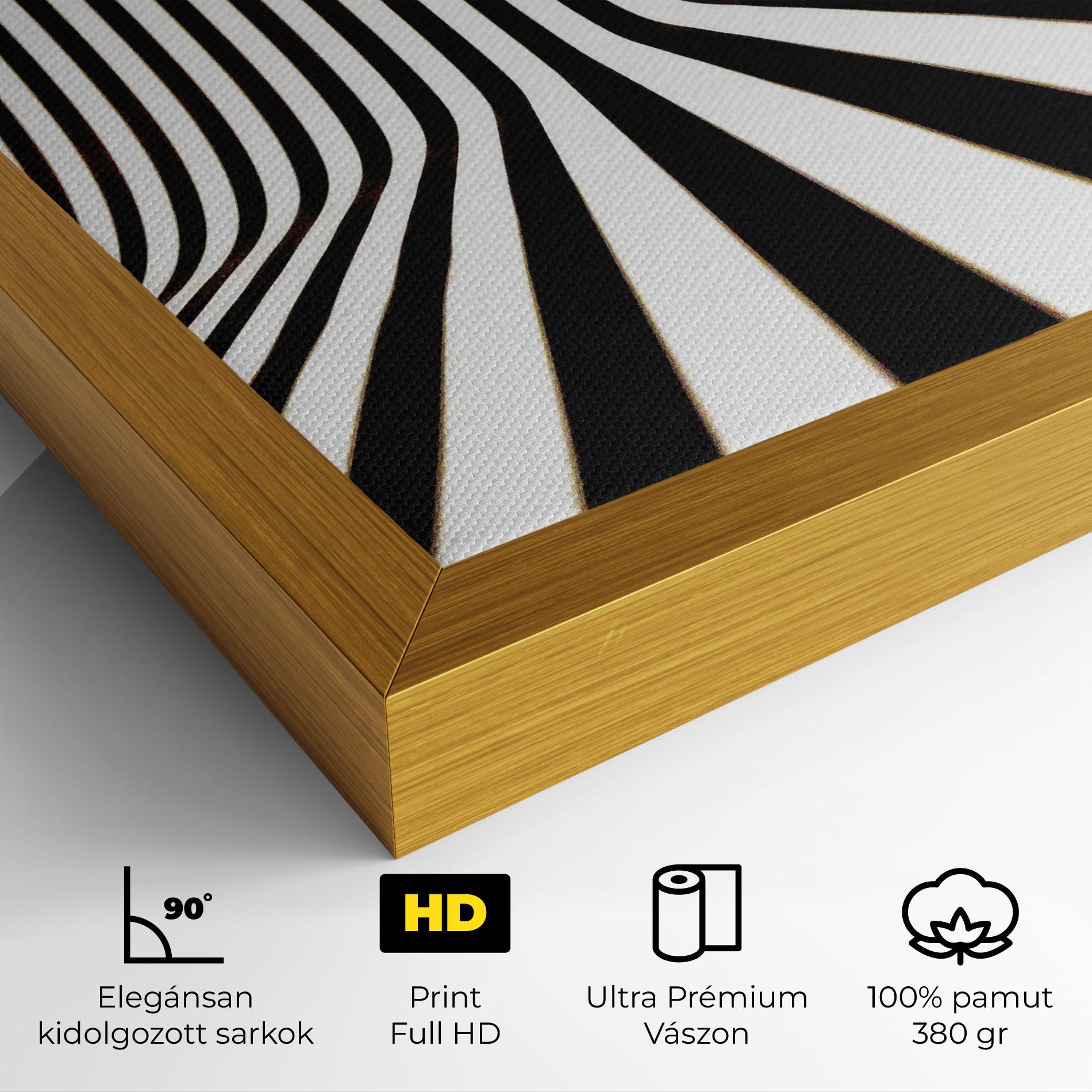 Vászonkép Black And White Illusion mockup 4