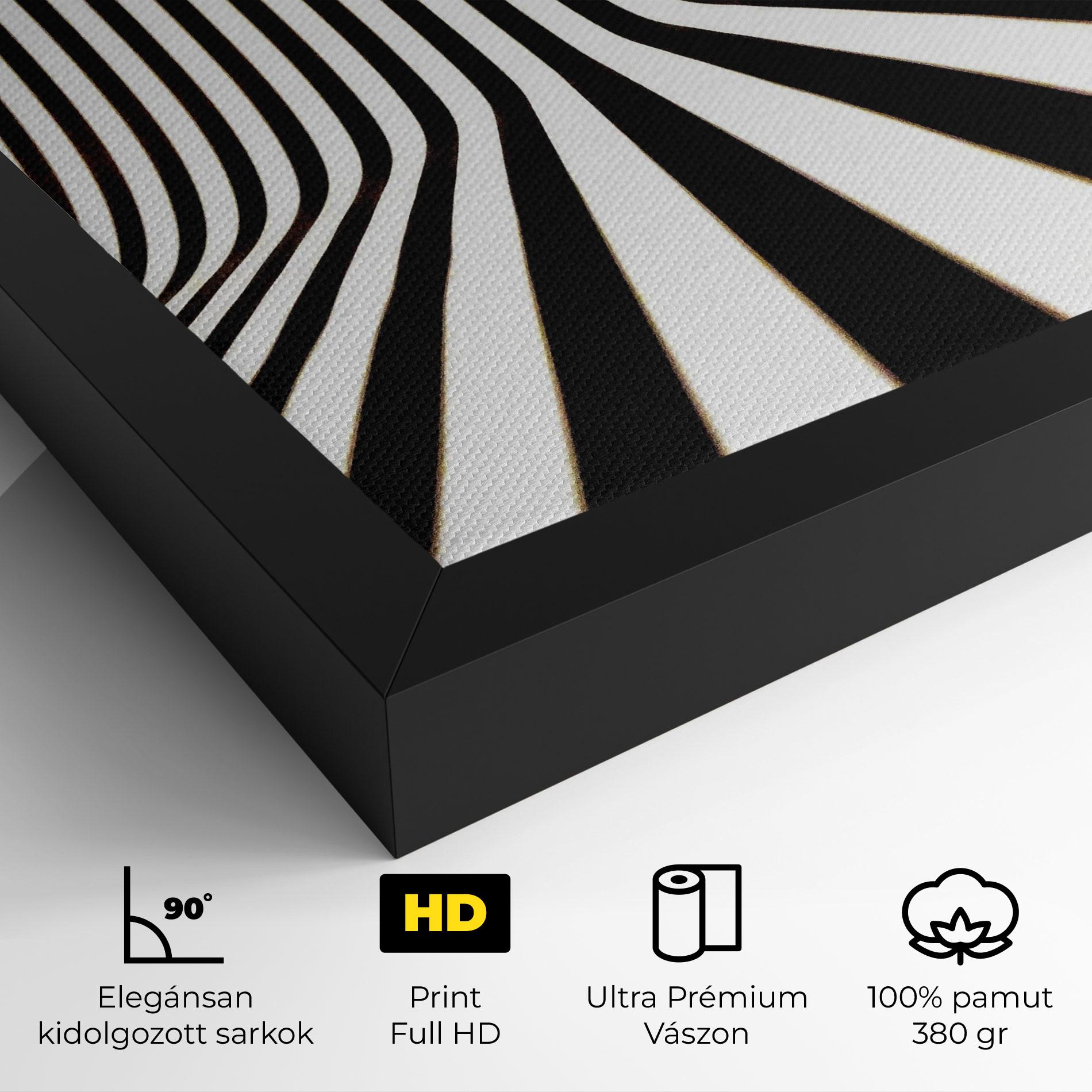 Vászonkép Black And White Illusion mockup 4