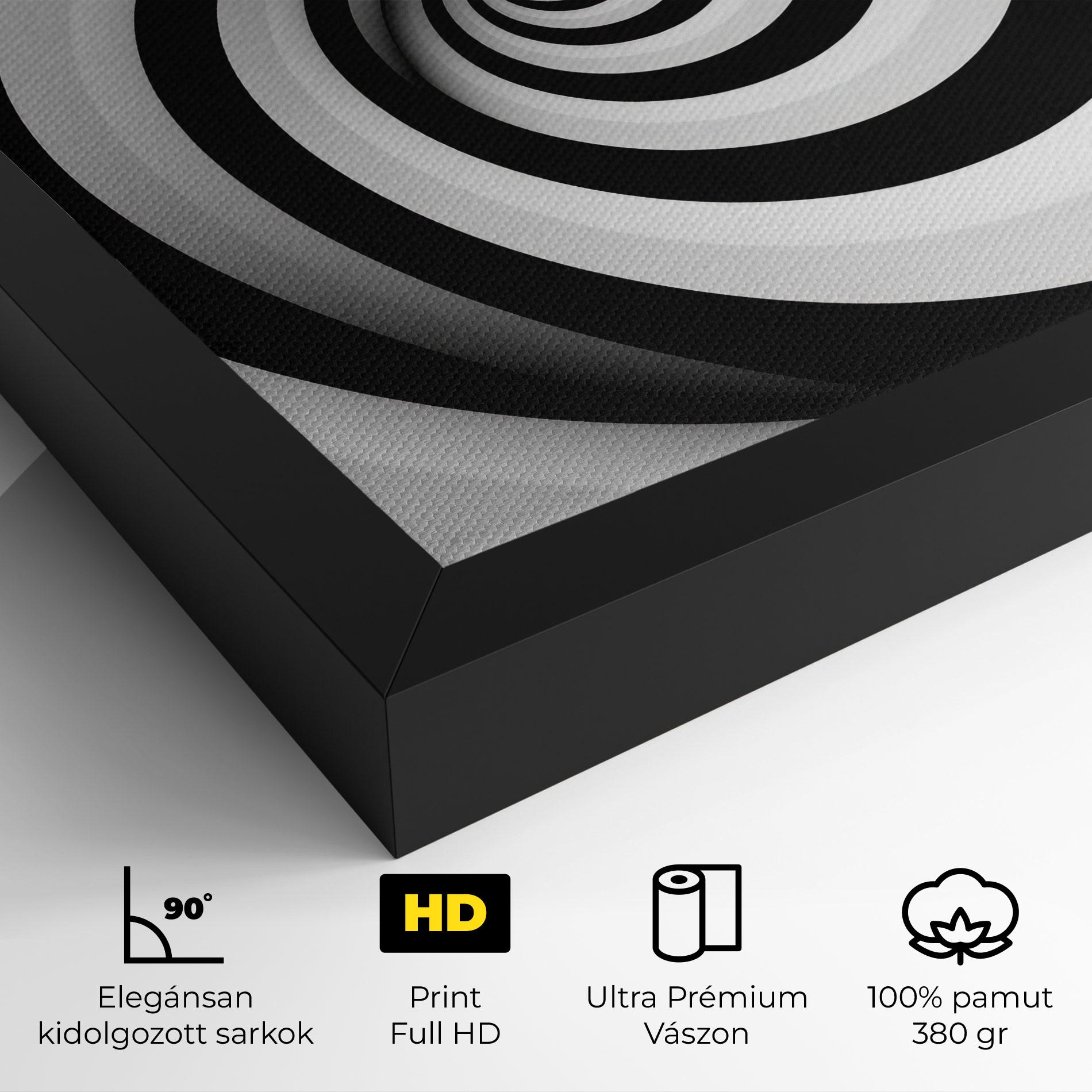 Vászonkép Black White Spiral mockup 4
