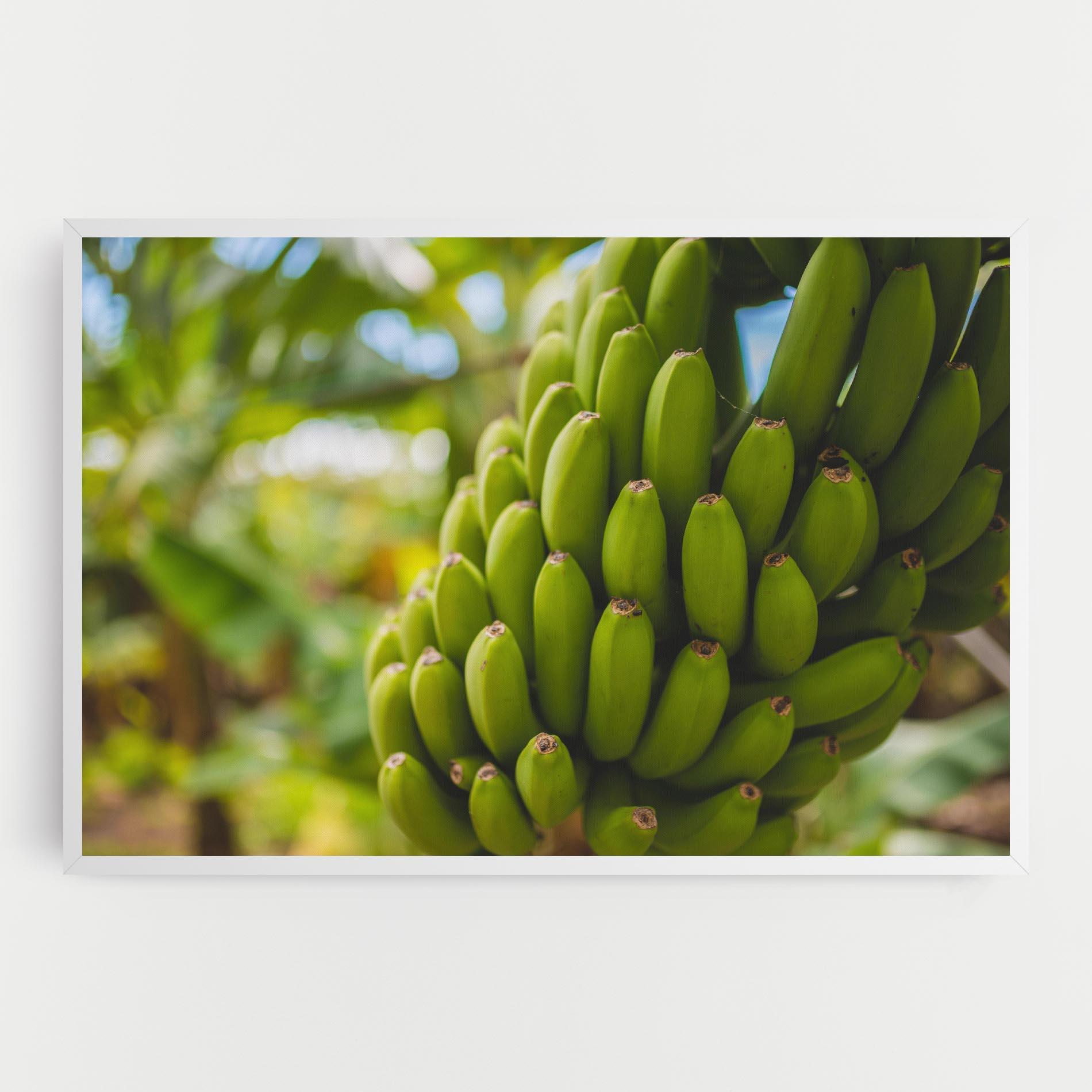 Vászonkép Green Banana mockup 0