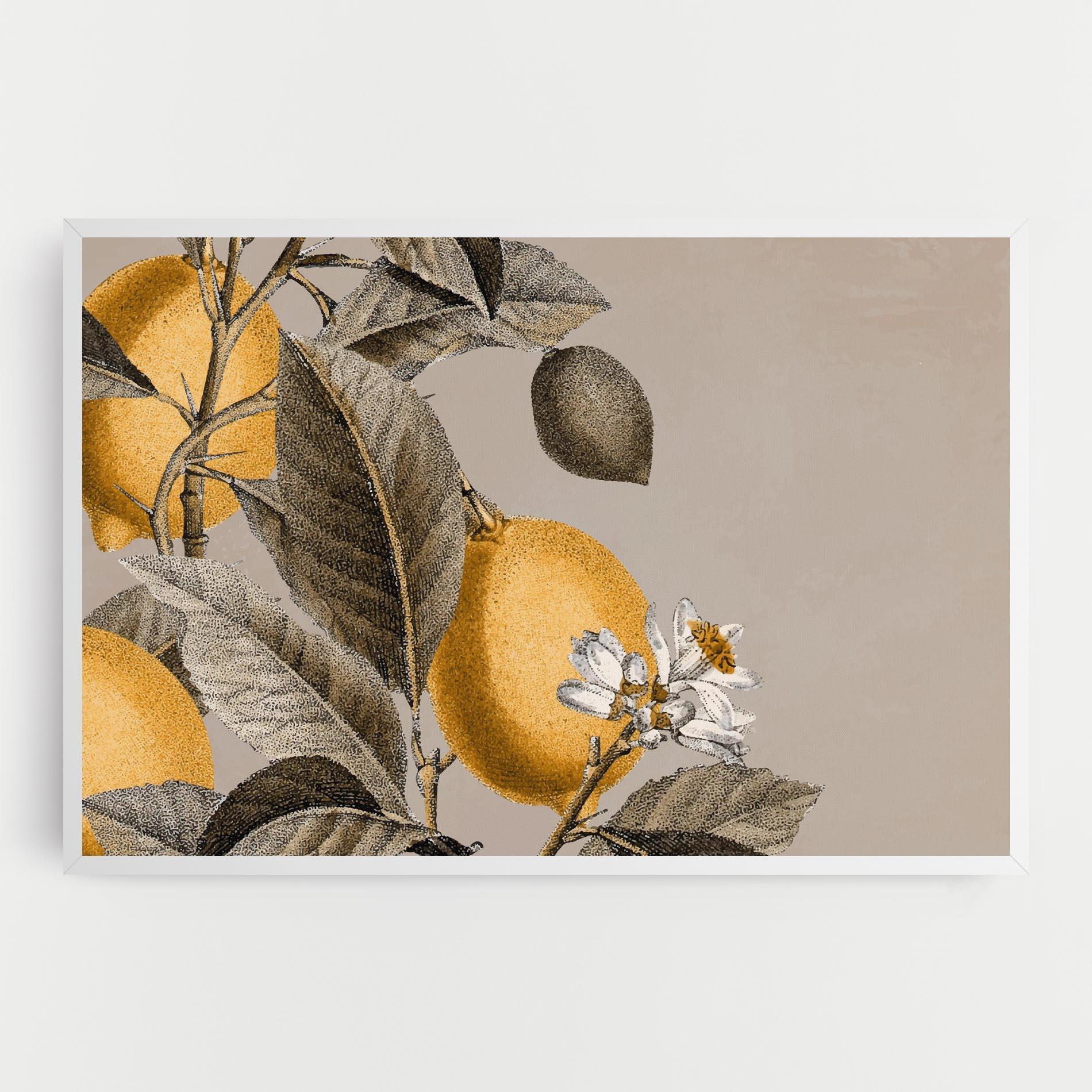 Vászonkép Lime Tree mockup 0