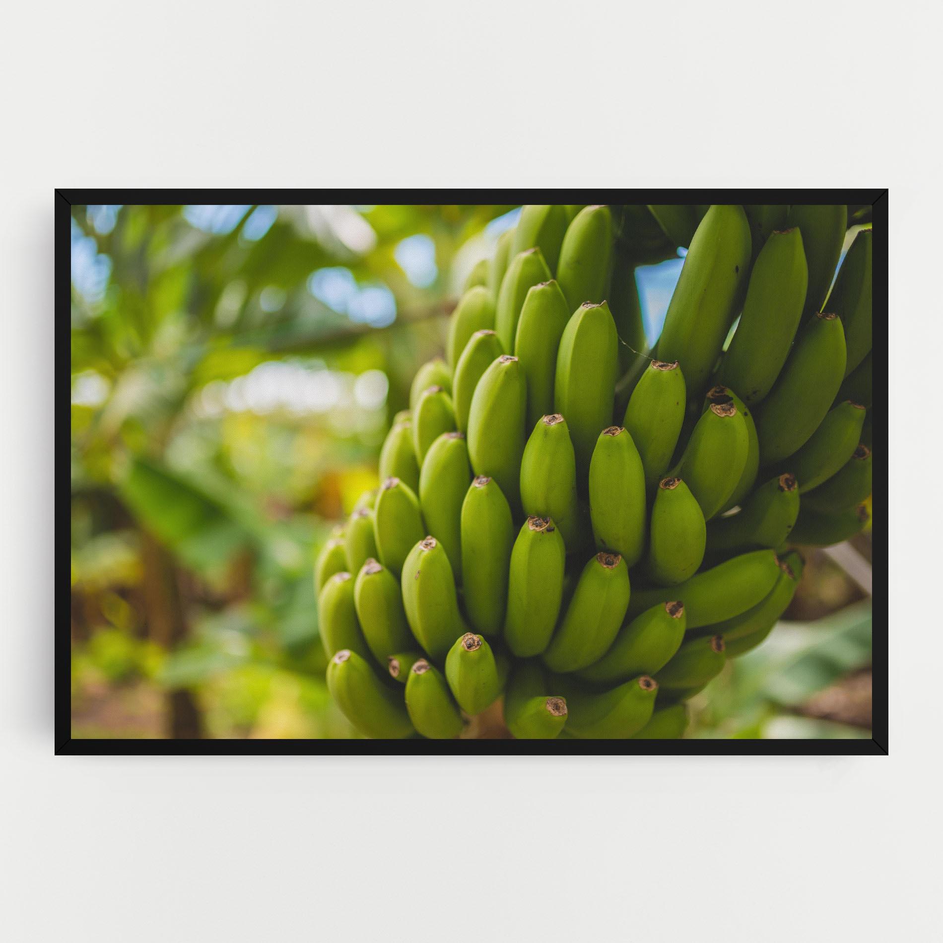 Vászonkép Green Banana mockup 0