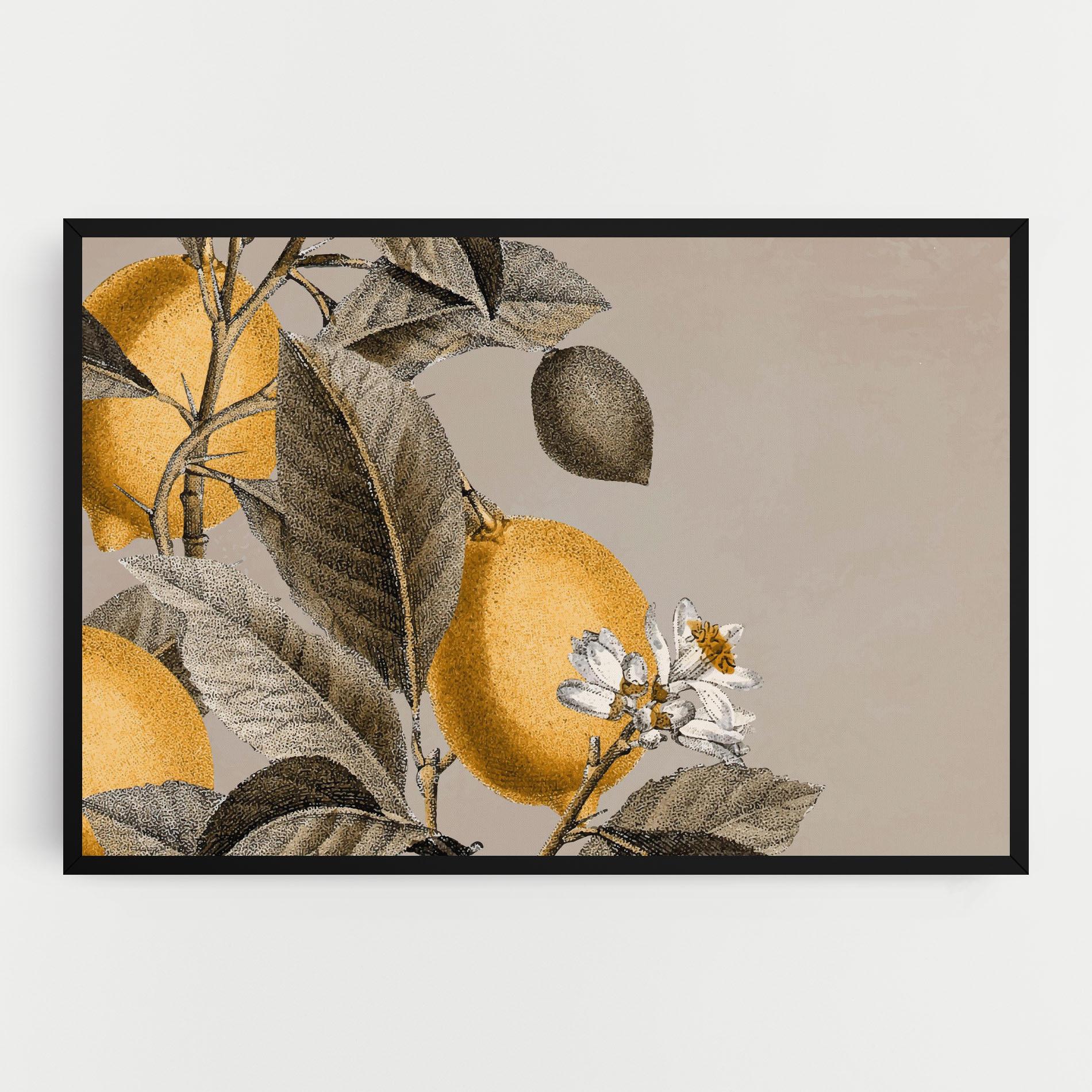 Vászonkép Lime Tree mockup 0