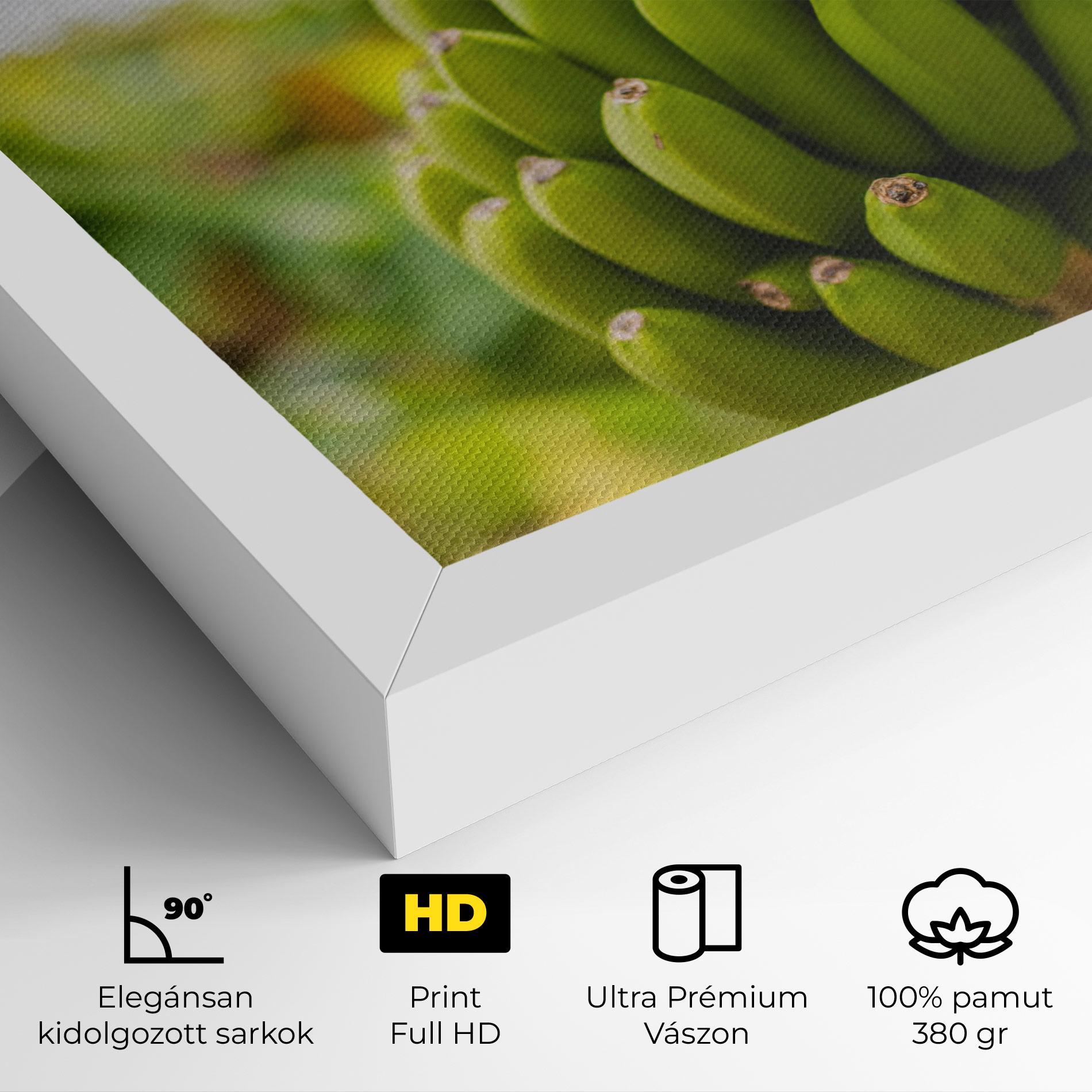 Vászonkép Green Banana mockup 4