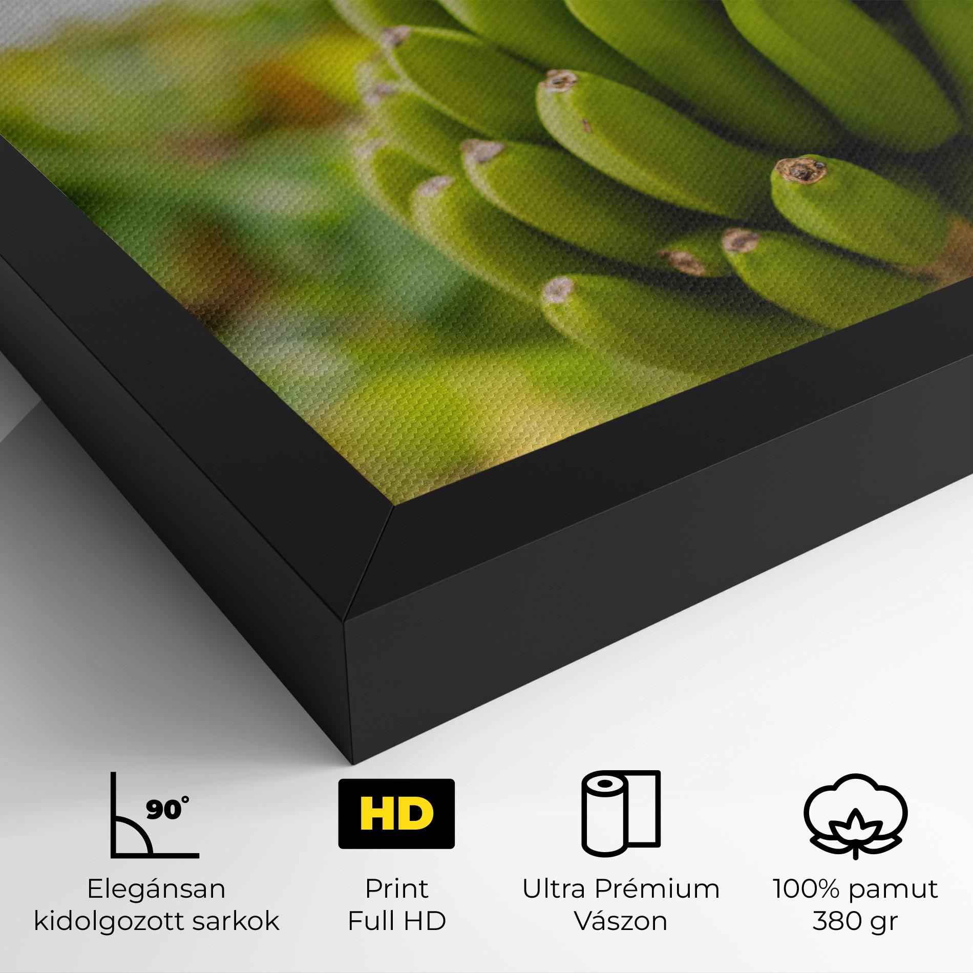 Vászonkép Green Banana mockup 4