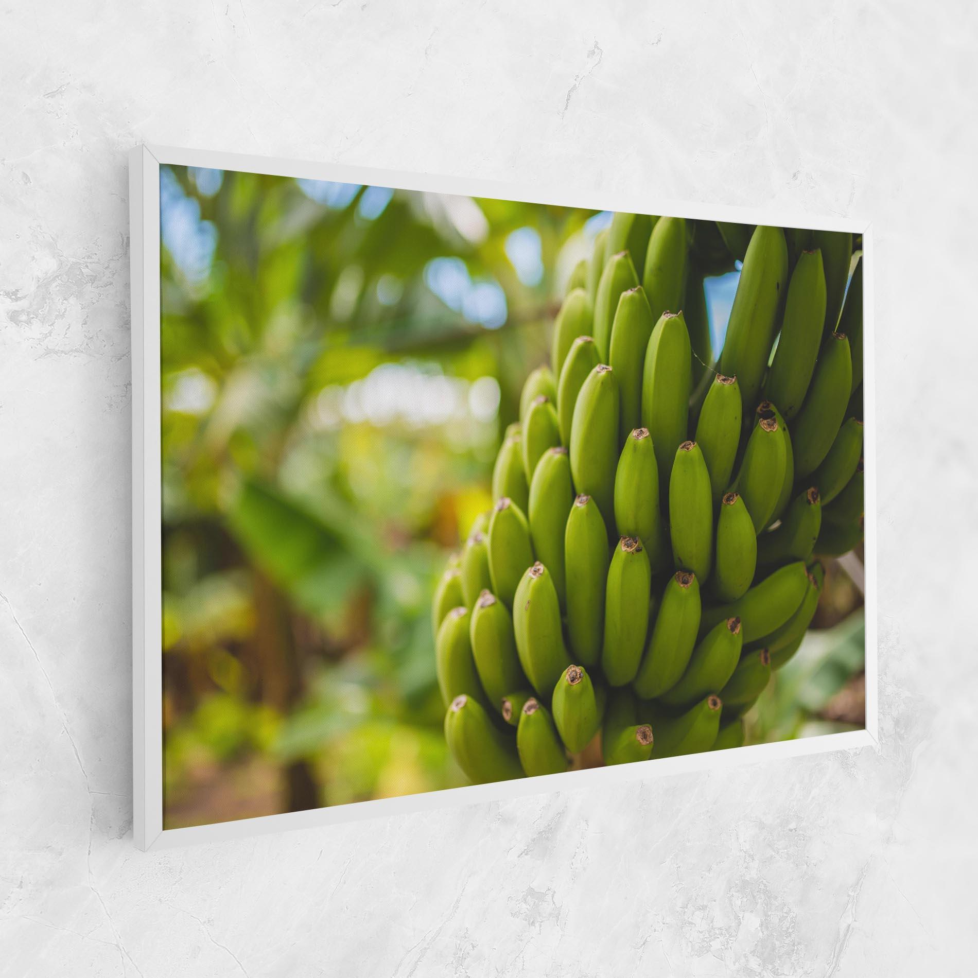 Vászonkép Green Banana mockup 1