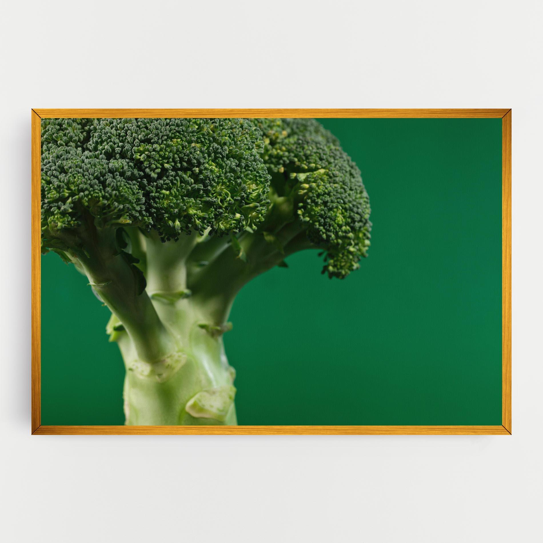 Vászonkép Broccoli mockup 0