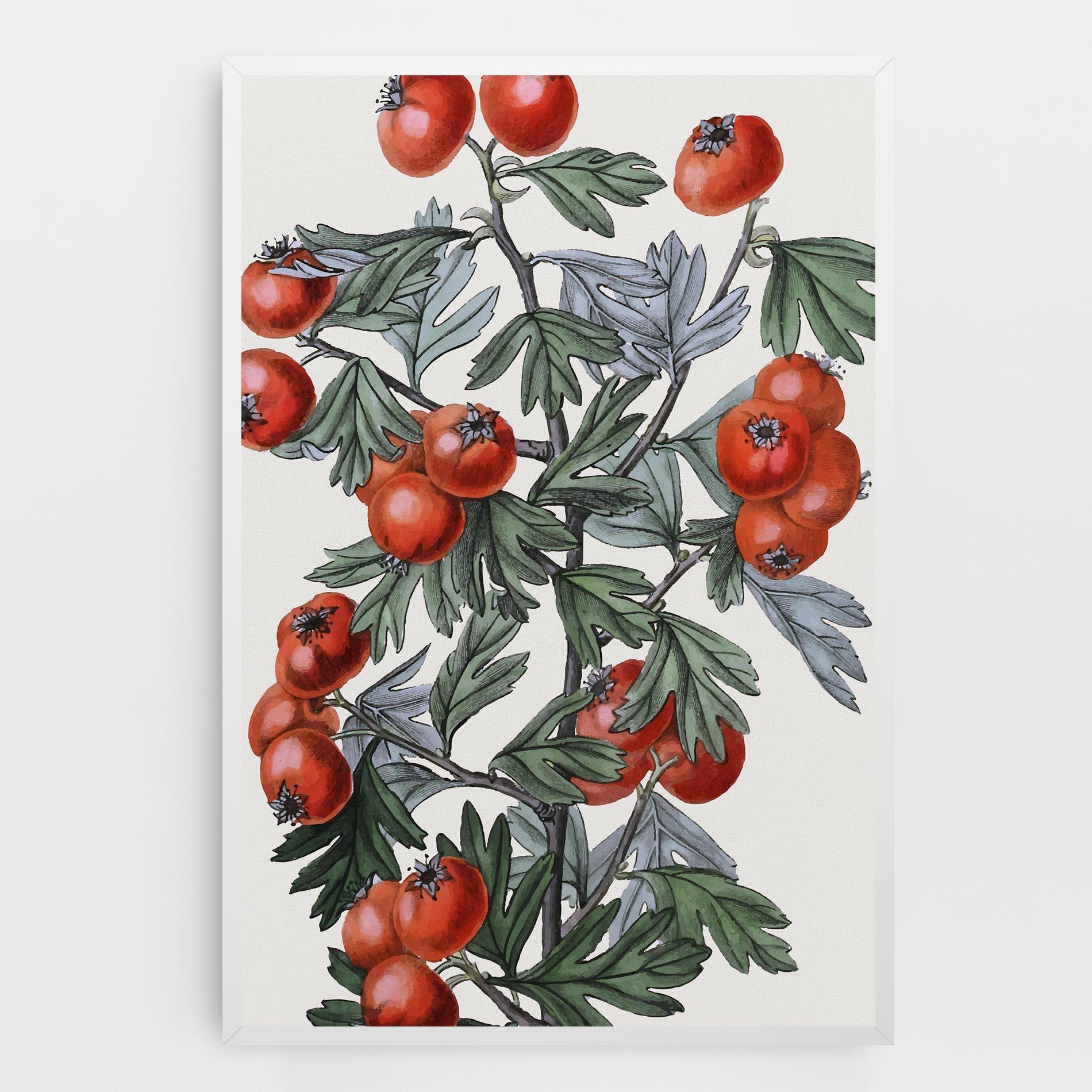 Vászonkép Cherry Drawing mockup 0