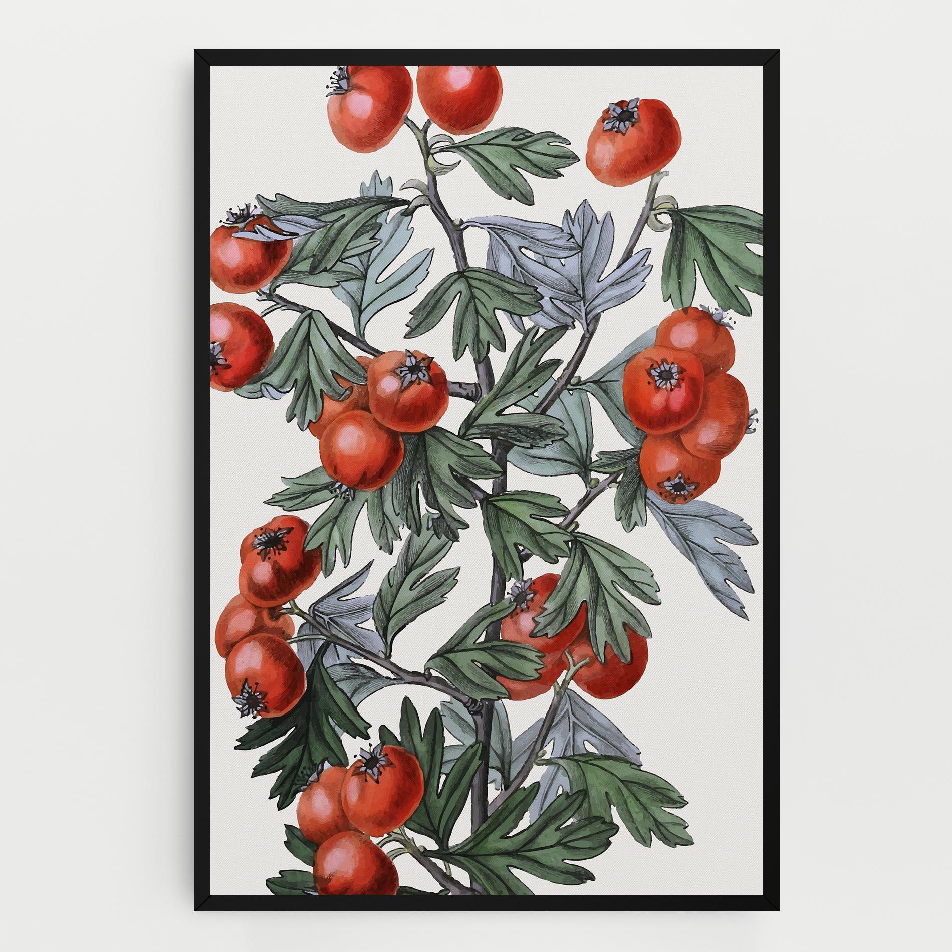 Vászonkép Cherry Drawing mockup 0