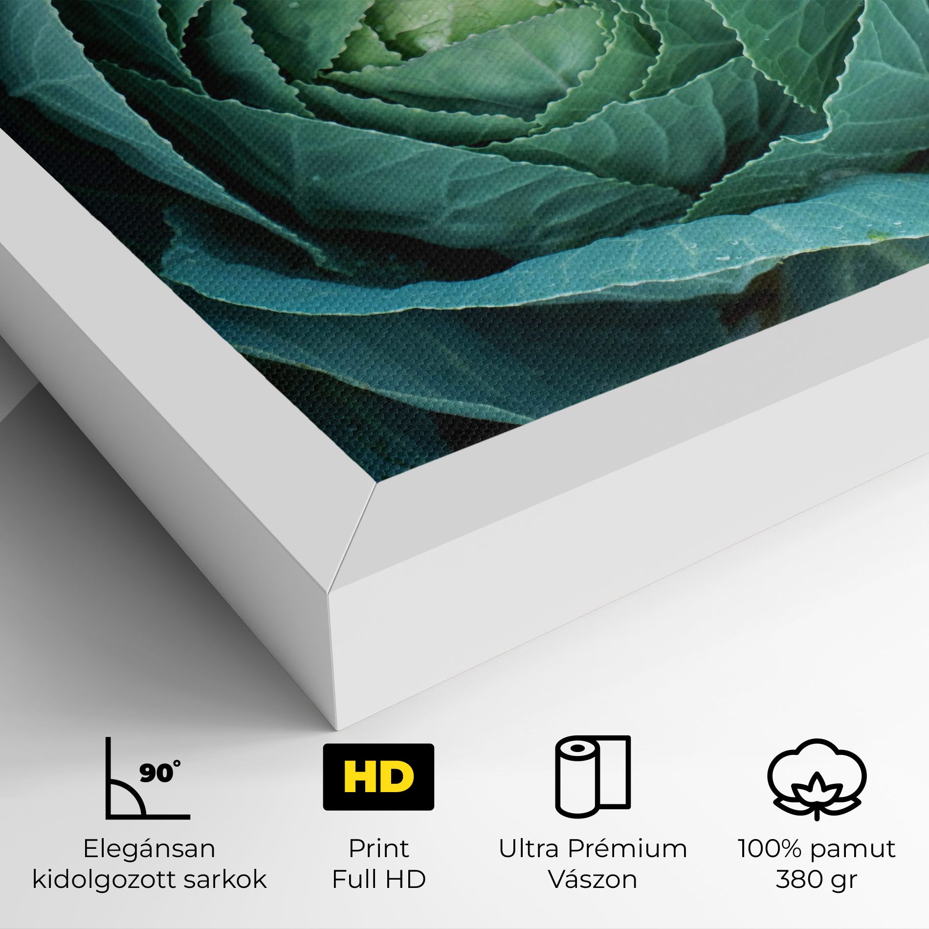 Blue Lettuce mockup 4