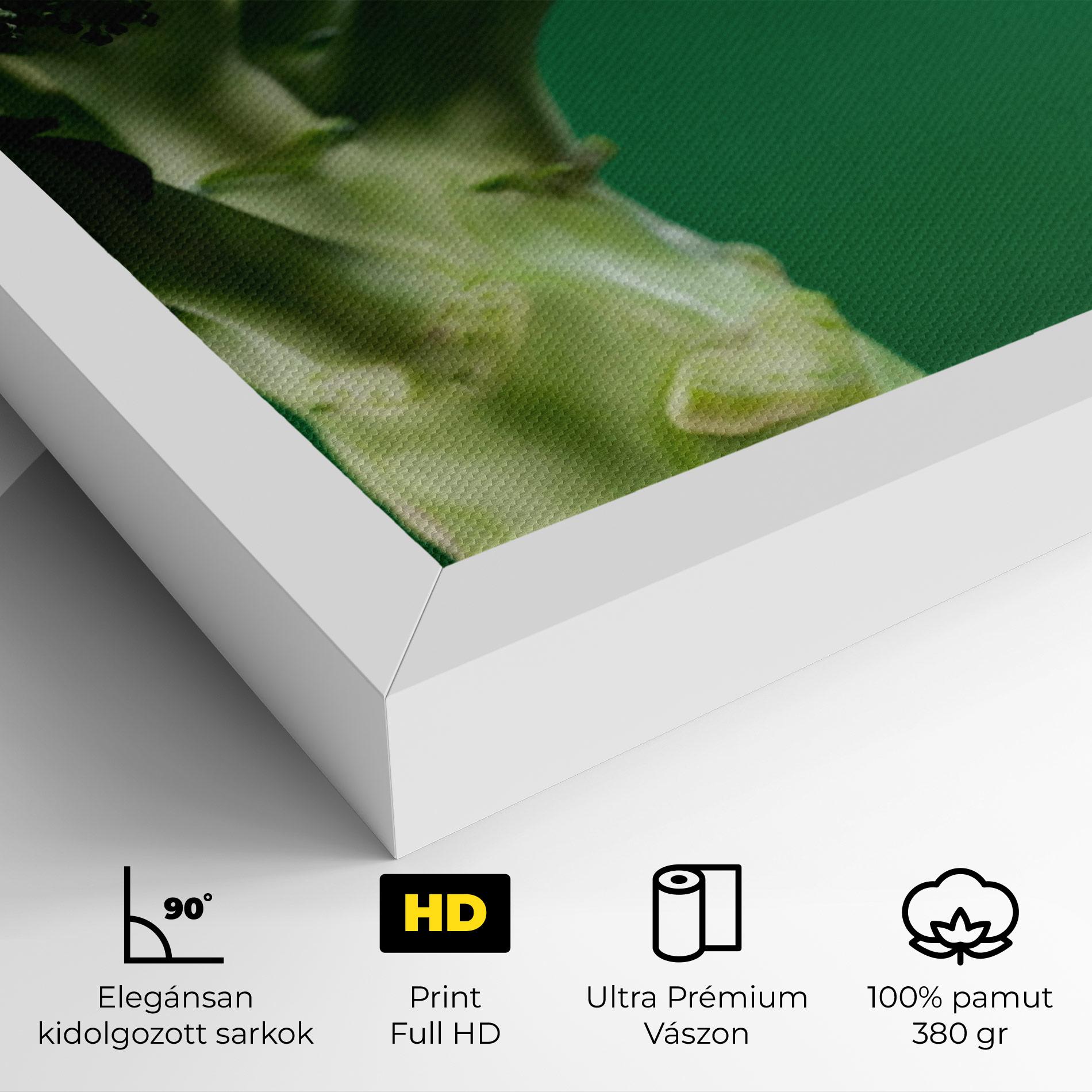 Vászonkép Broccoli mockup 4