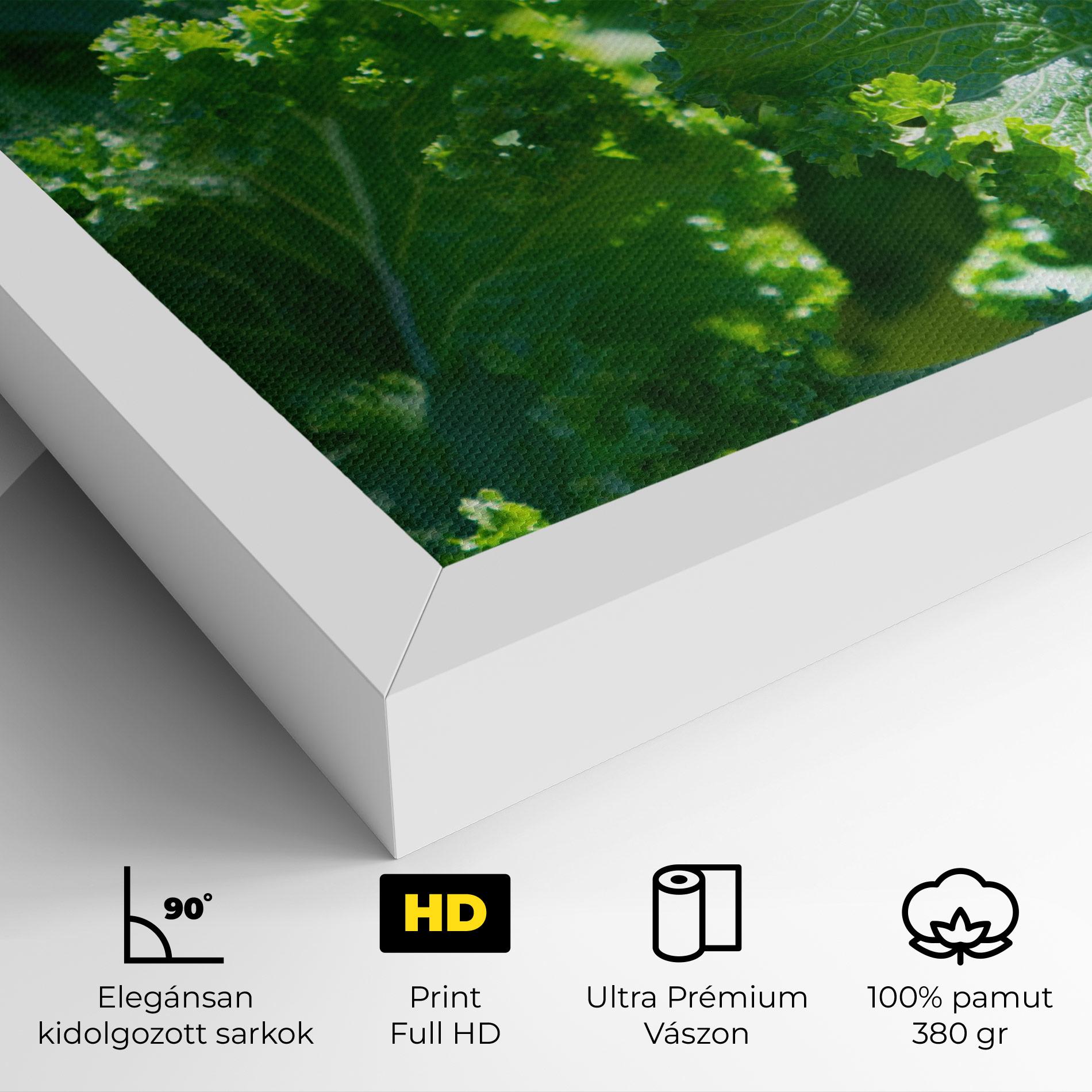 Vászonkép Lettuce View mockup 4