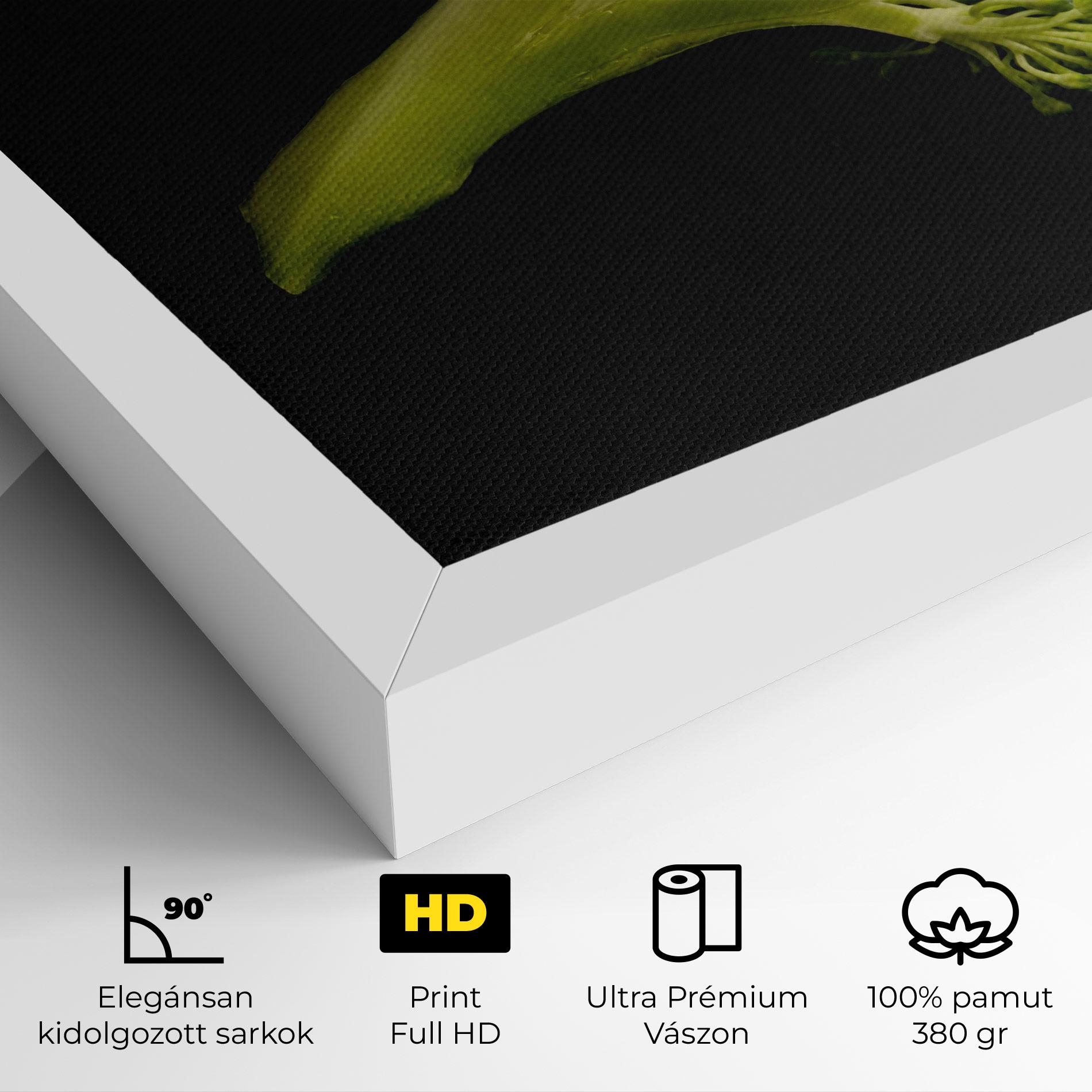 Vászonkép Nice Broccoli mockup 4