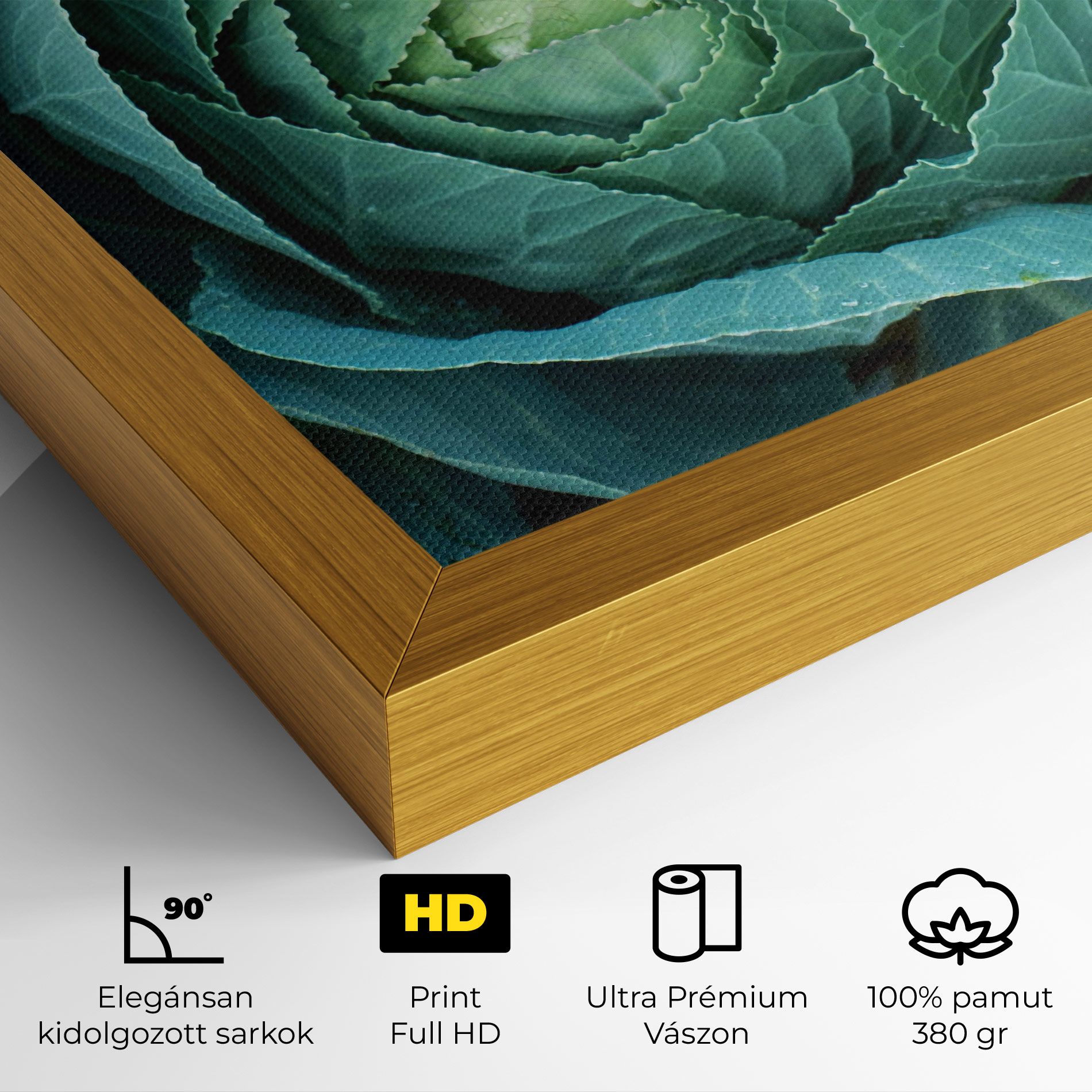 Blue Lettuce mockup 4