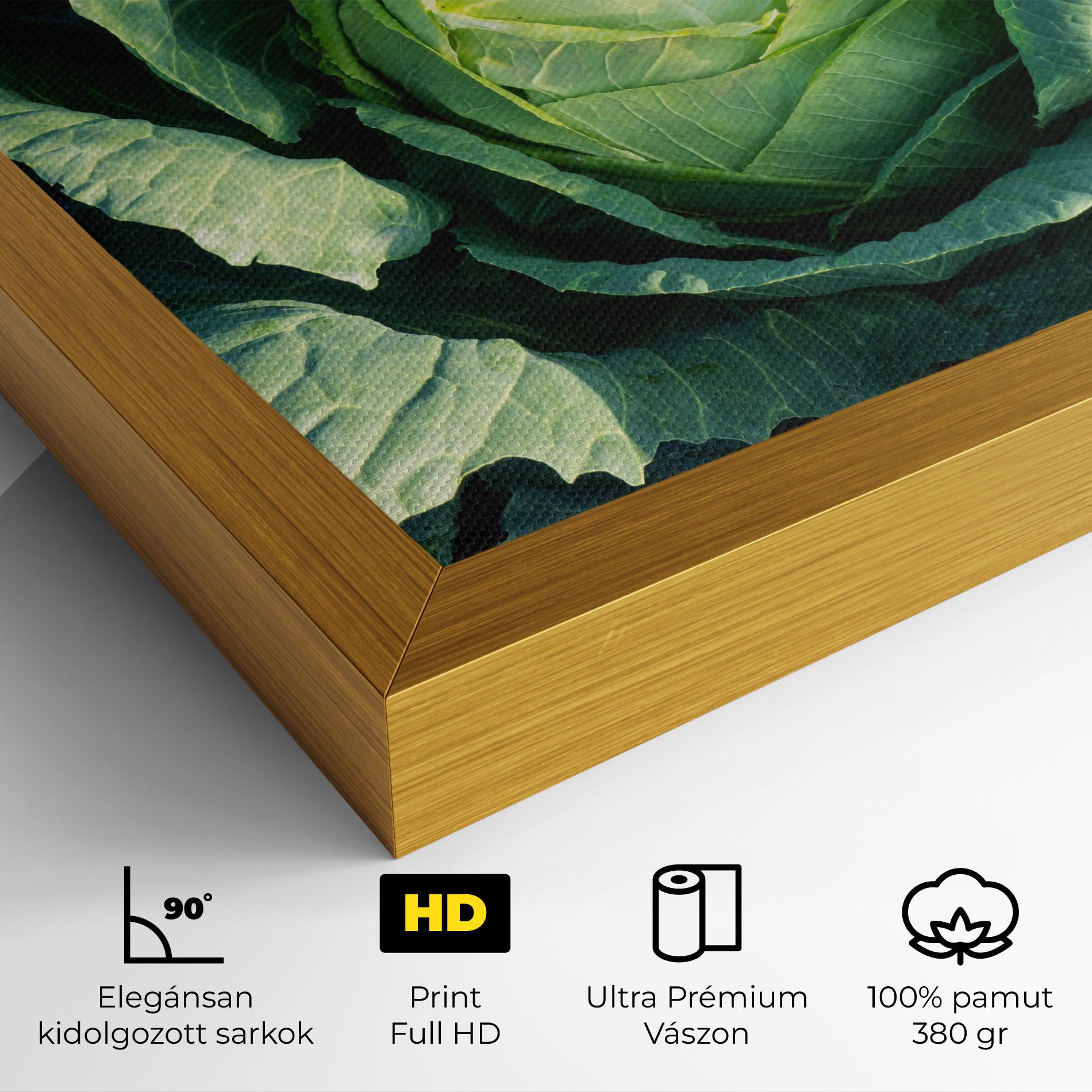 Vászonkép Green Lettuce mockup 4