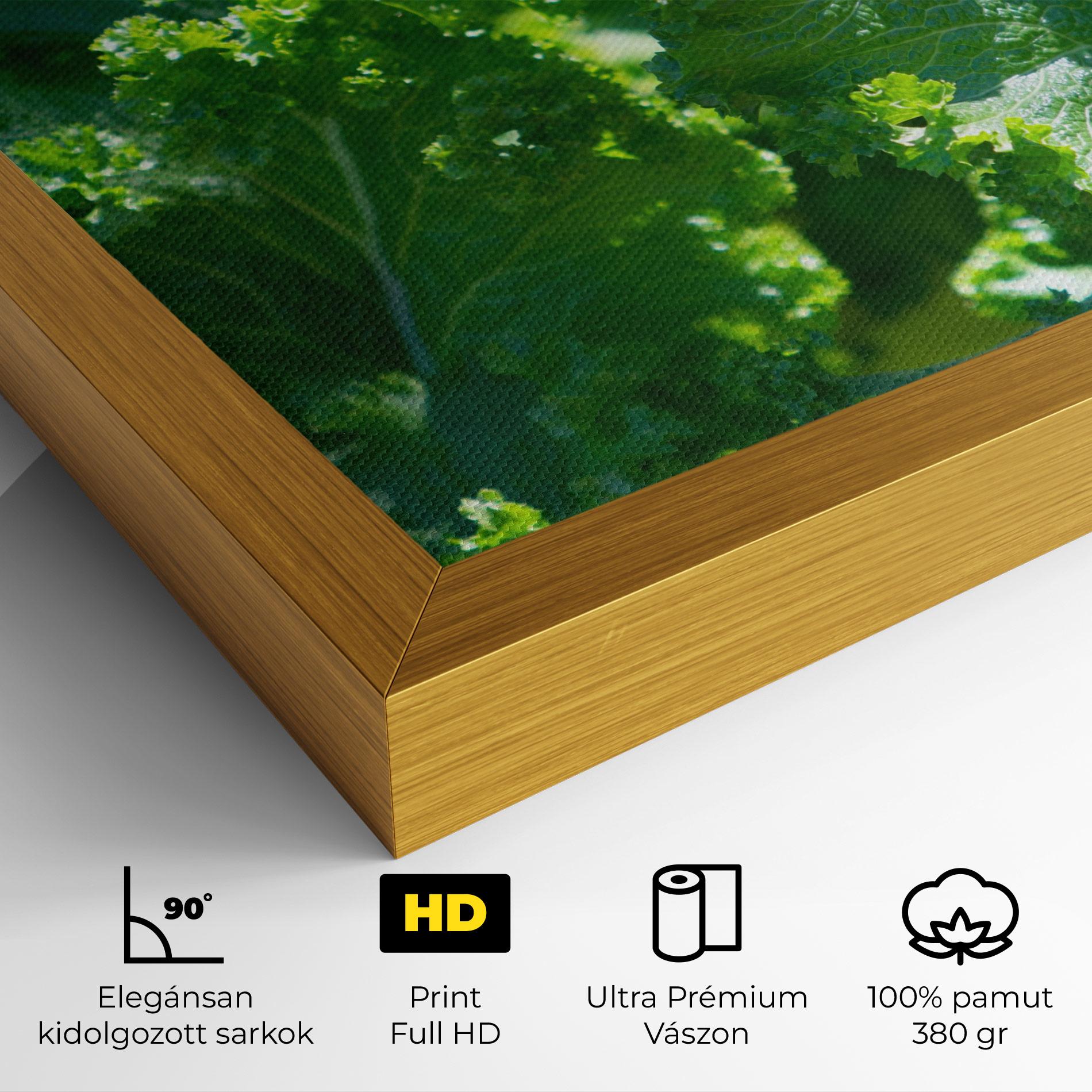 Vászonkép Lettuce View mockup 4