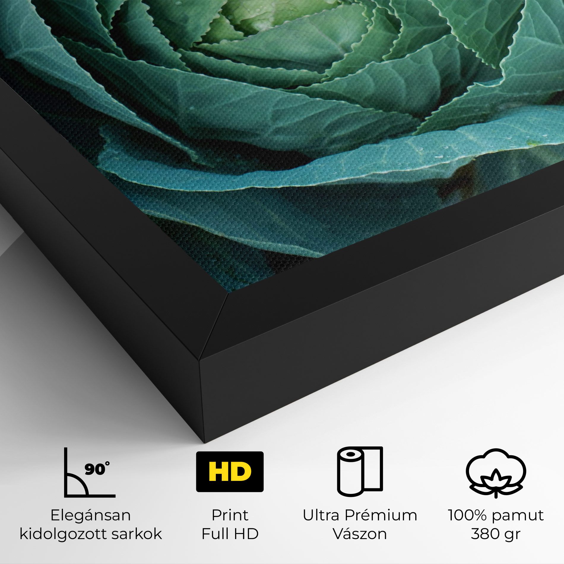 Blue Lettuce mockup 4