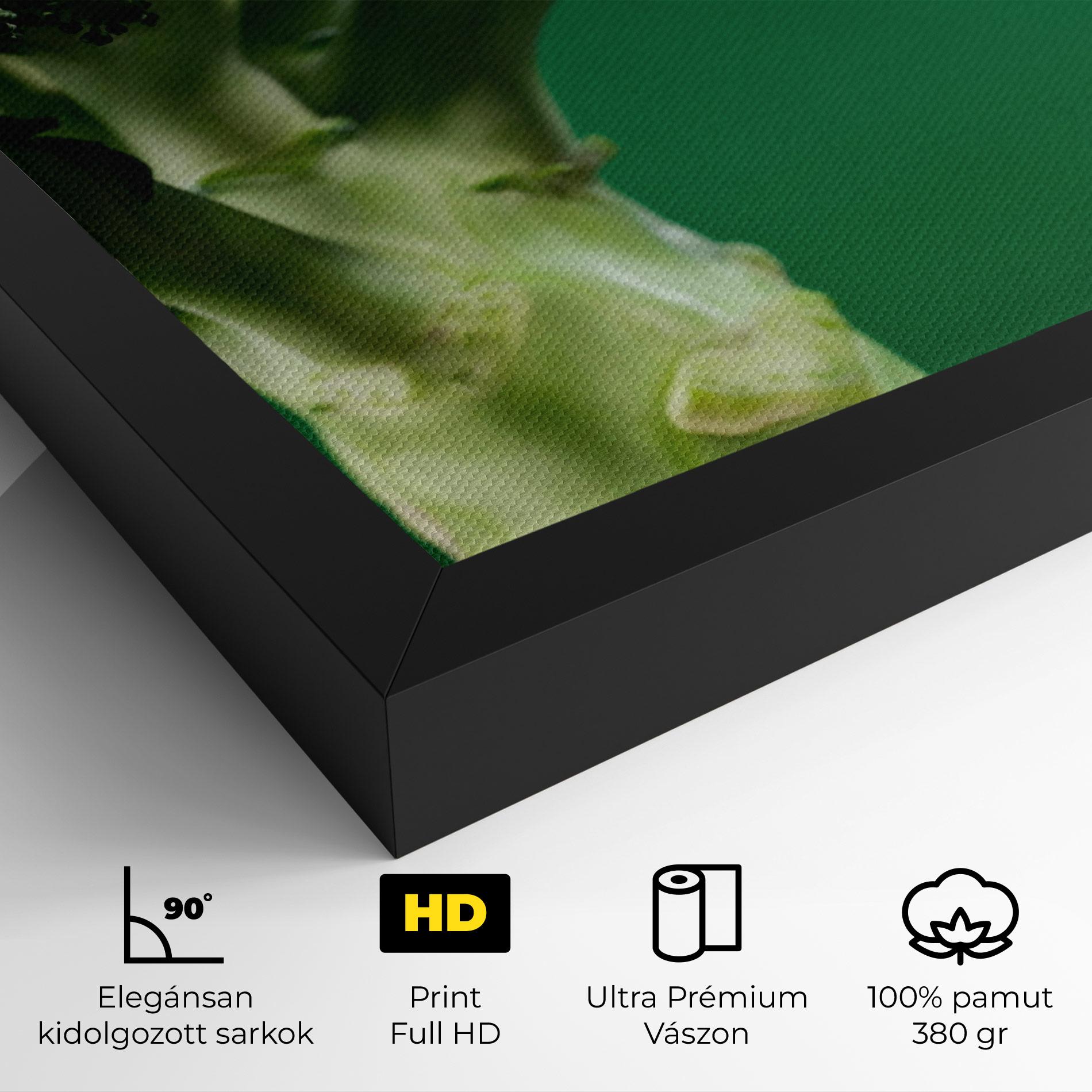 Vászonkép Broccoli mockup 4
