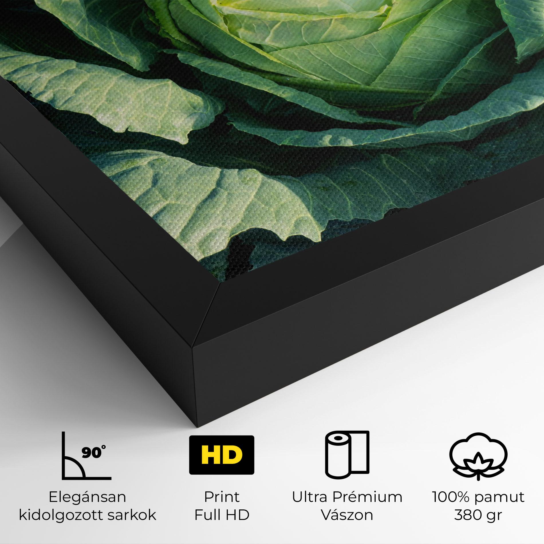 Vászonkép Green Lettuce mockup 4