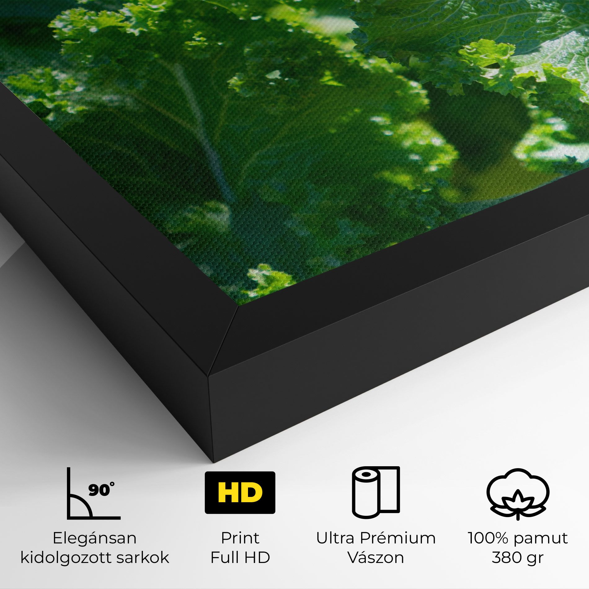 Lettuce View mockup 4