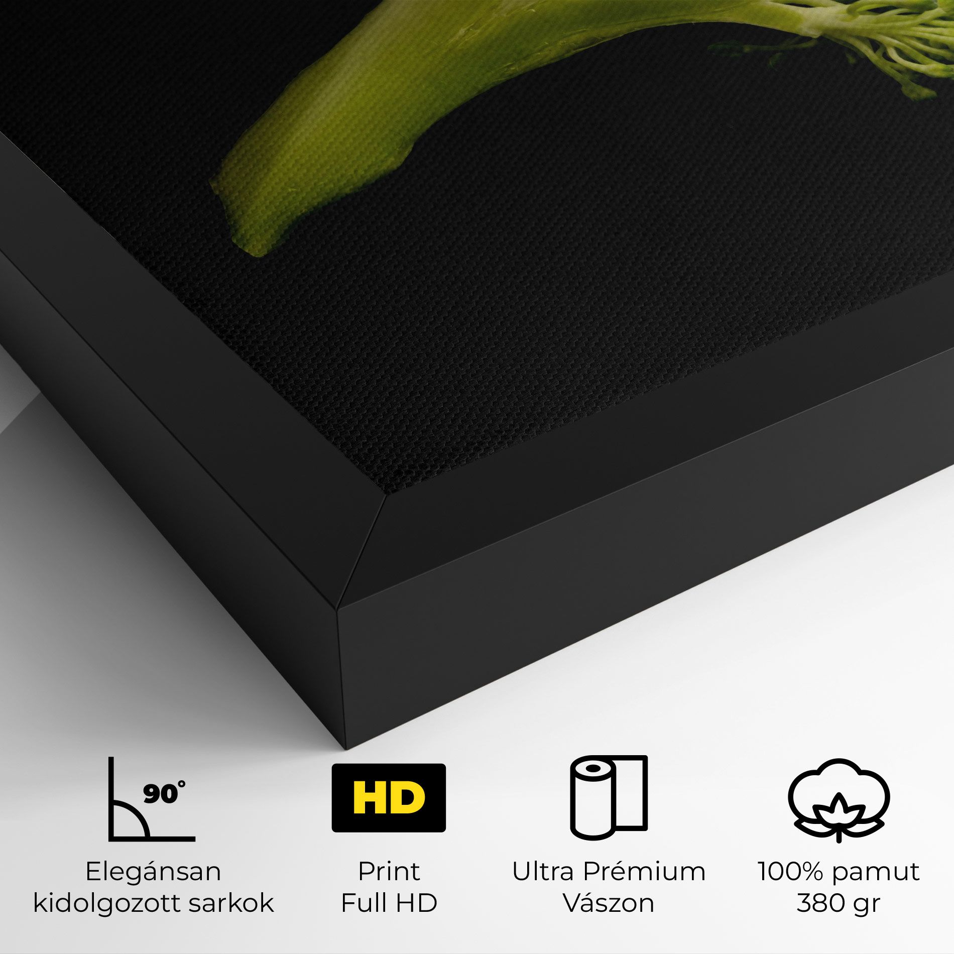 Nice Broccoli mockup 4