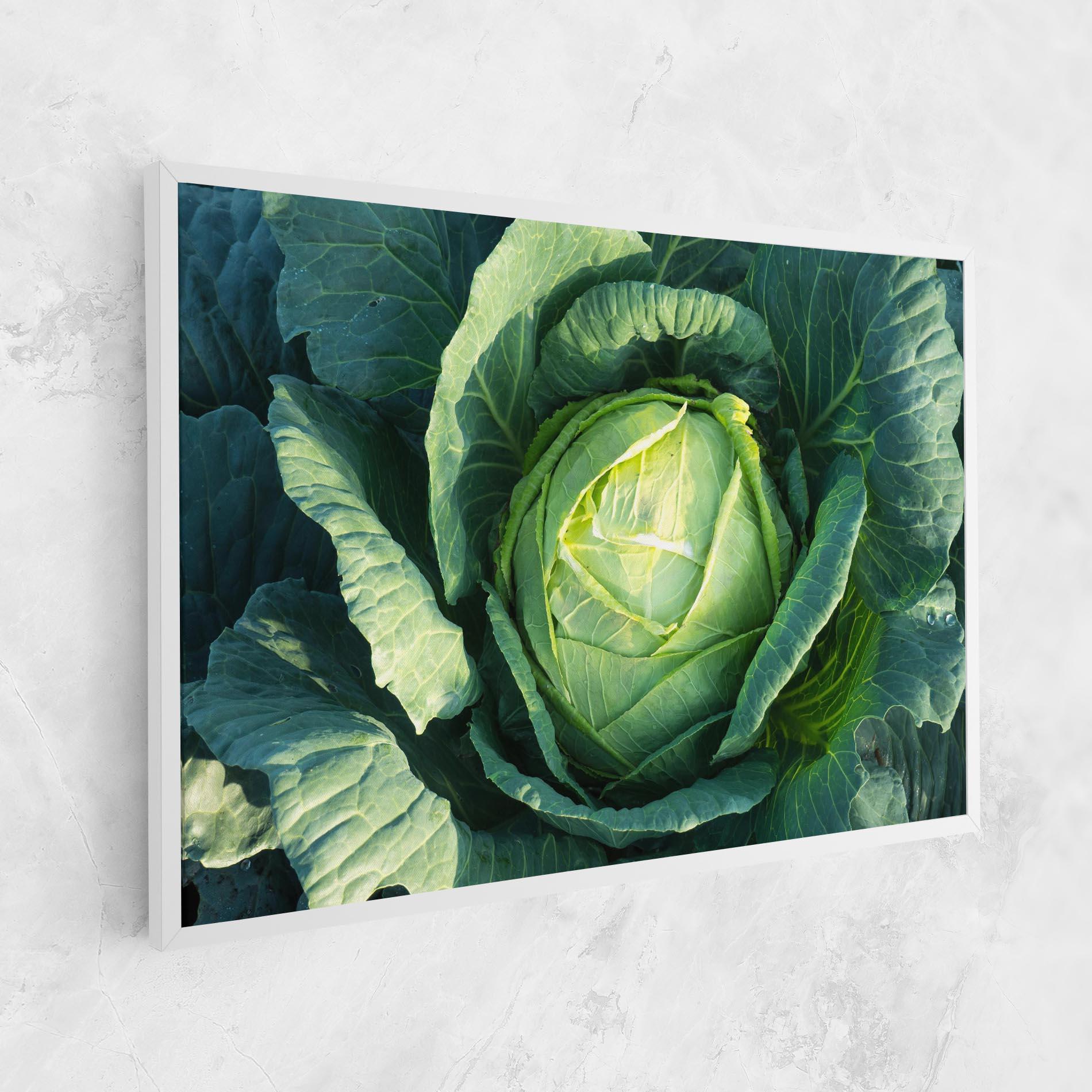 Vászonkép Green Lettuce mockup 1