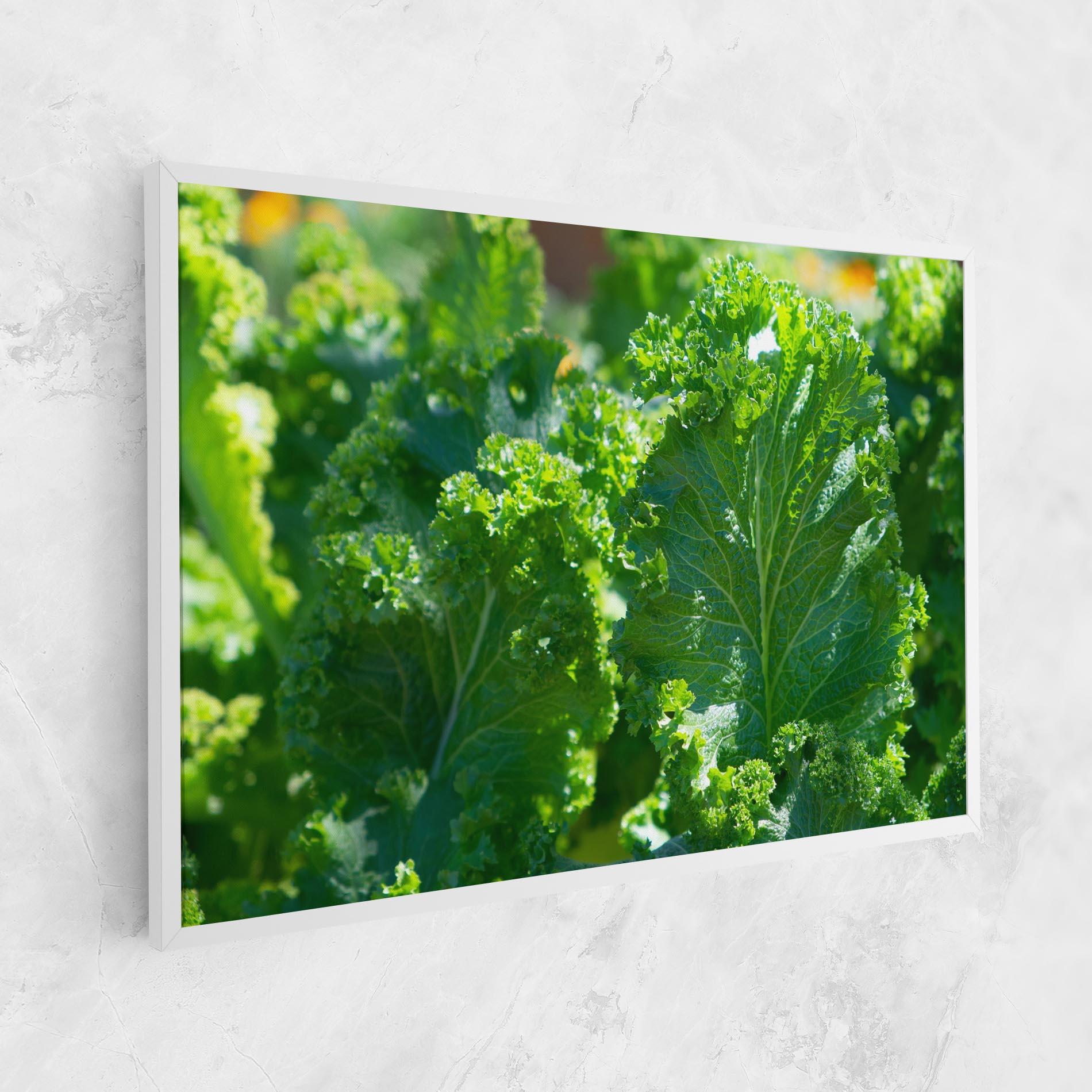 Vászonkép Lettuce View mockup 1