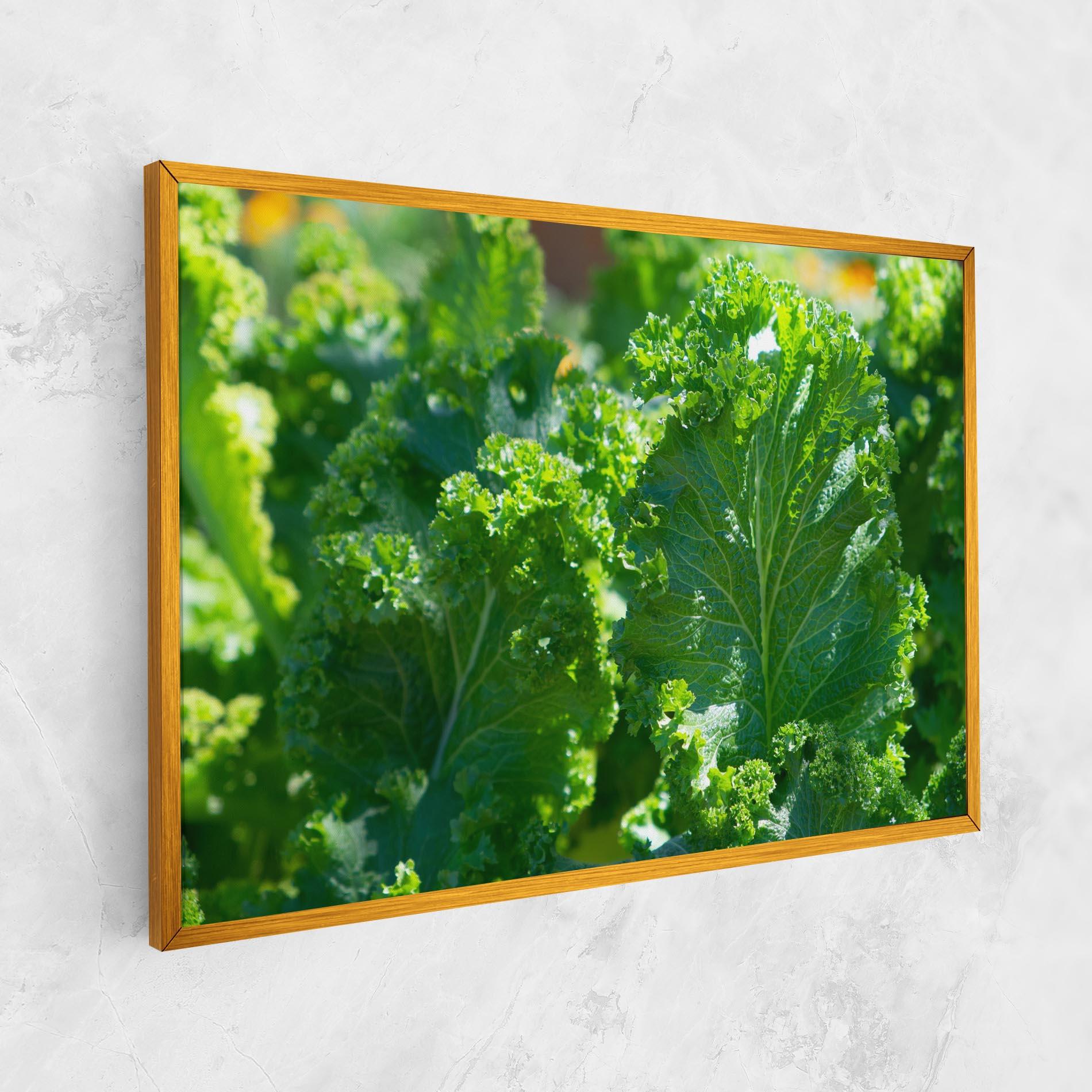 Vászonkép Lettuce View mockup 1