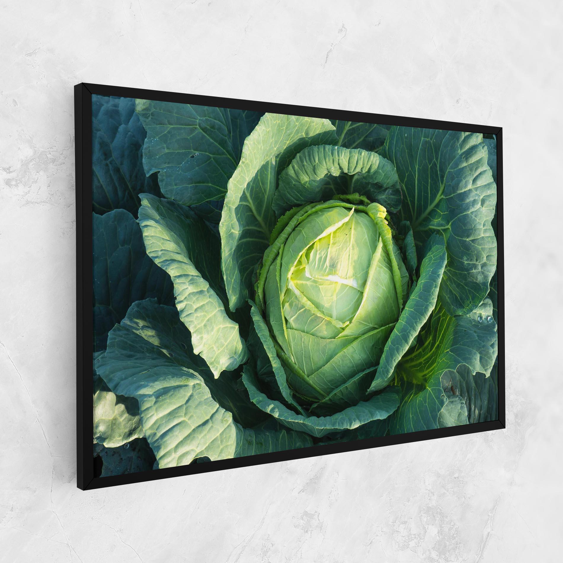 Vászonkép Green Lettuce mockup 1