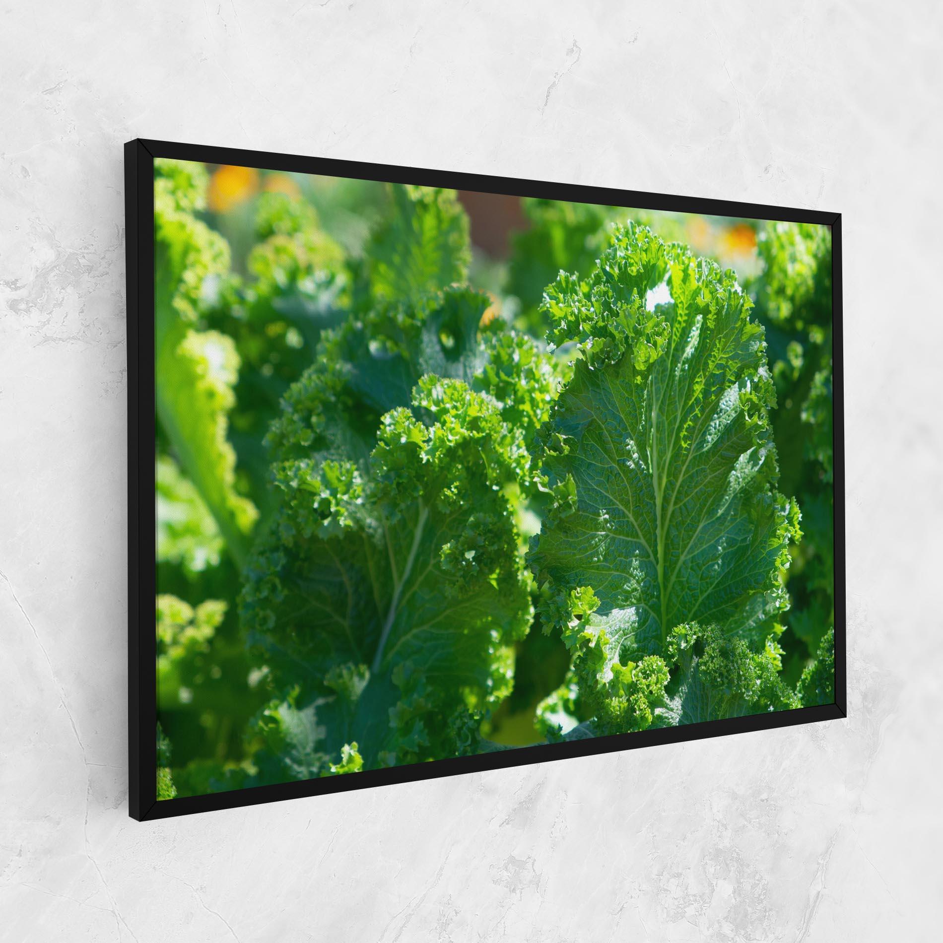 Vászonkép Lettuce View mockup 1