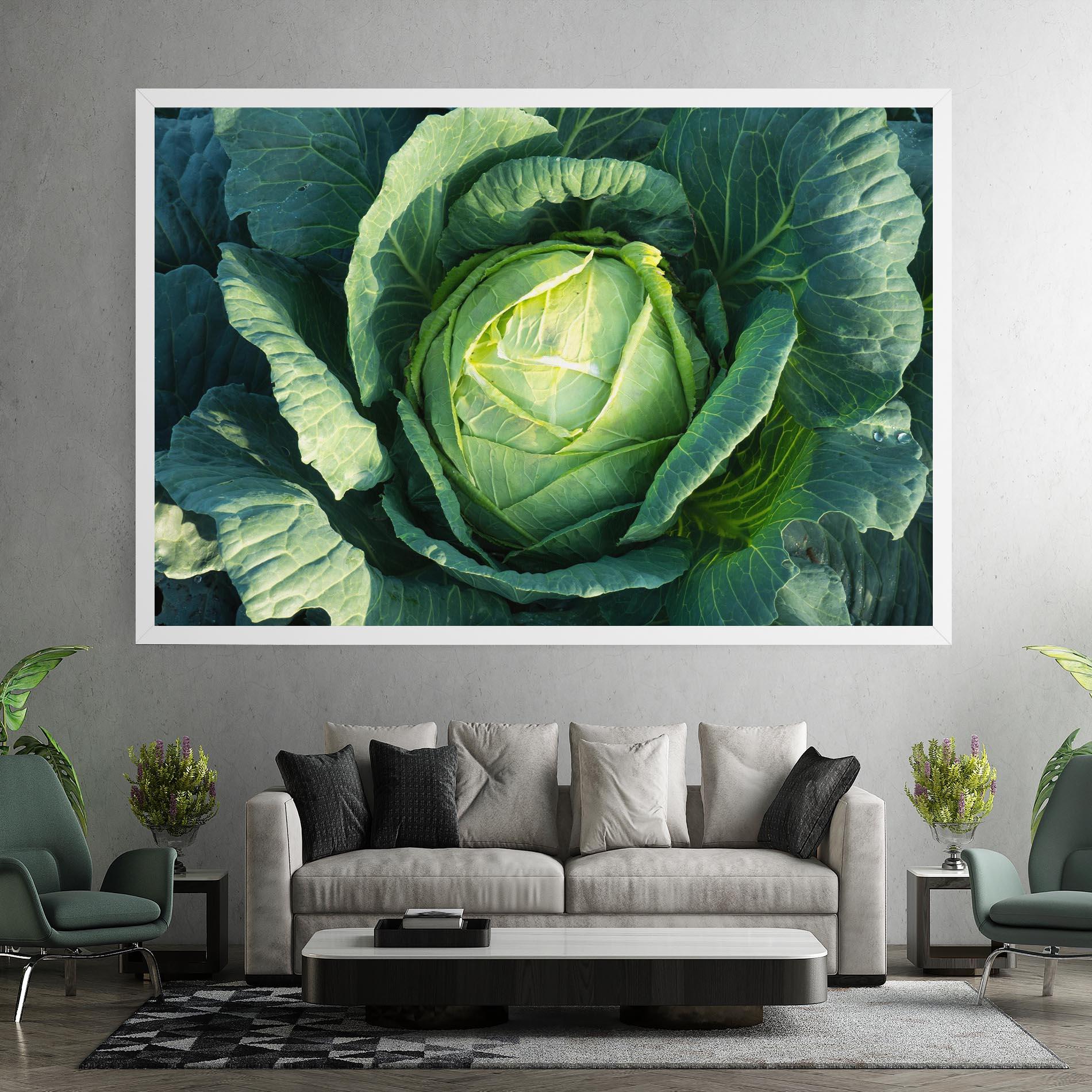 Vászonkép Green Lettuce mockup 7