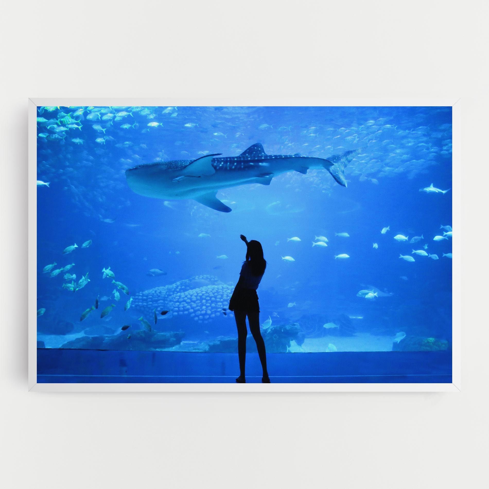 Aquarium Girl mockup 0