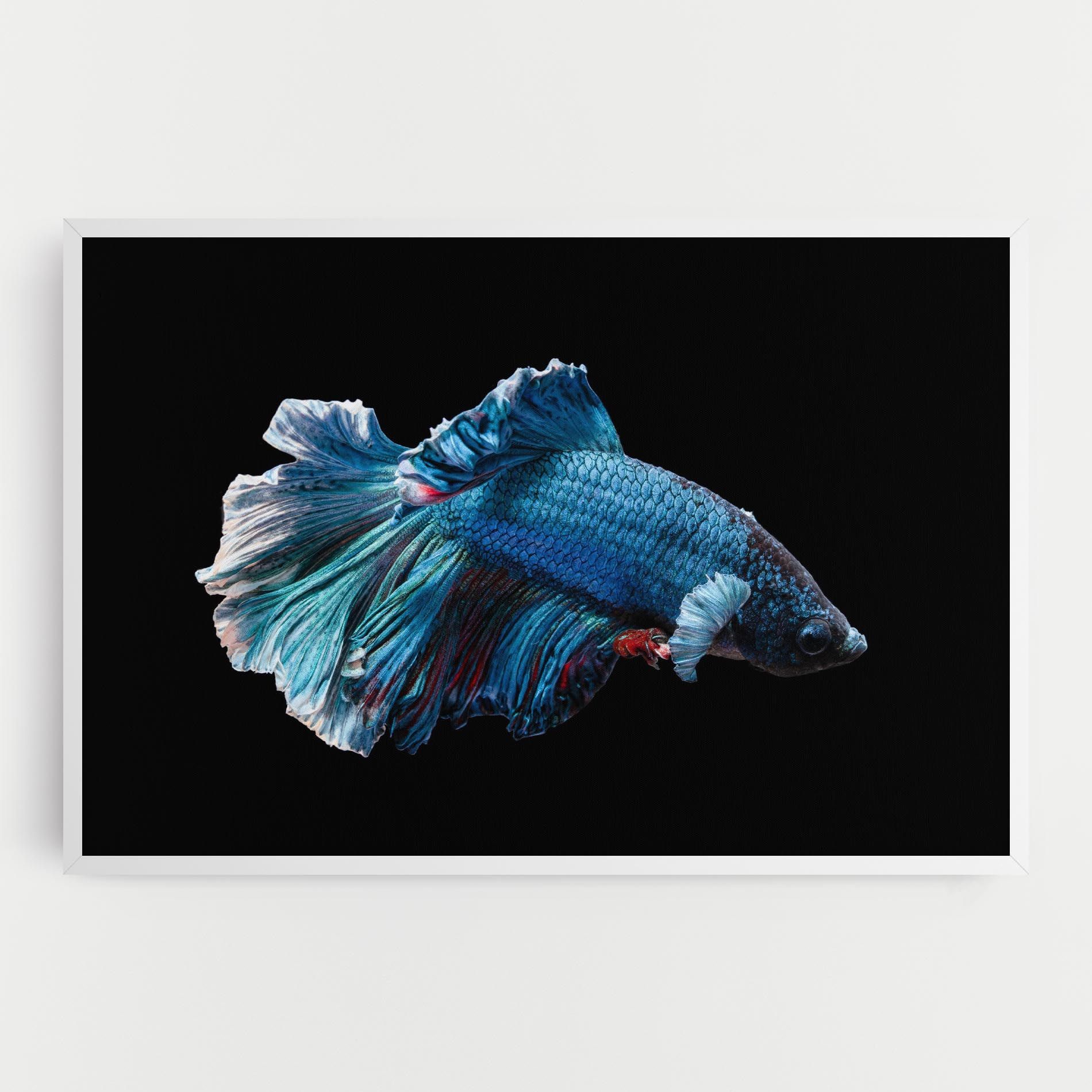 Blue Betta mockup 0
