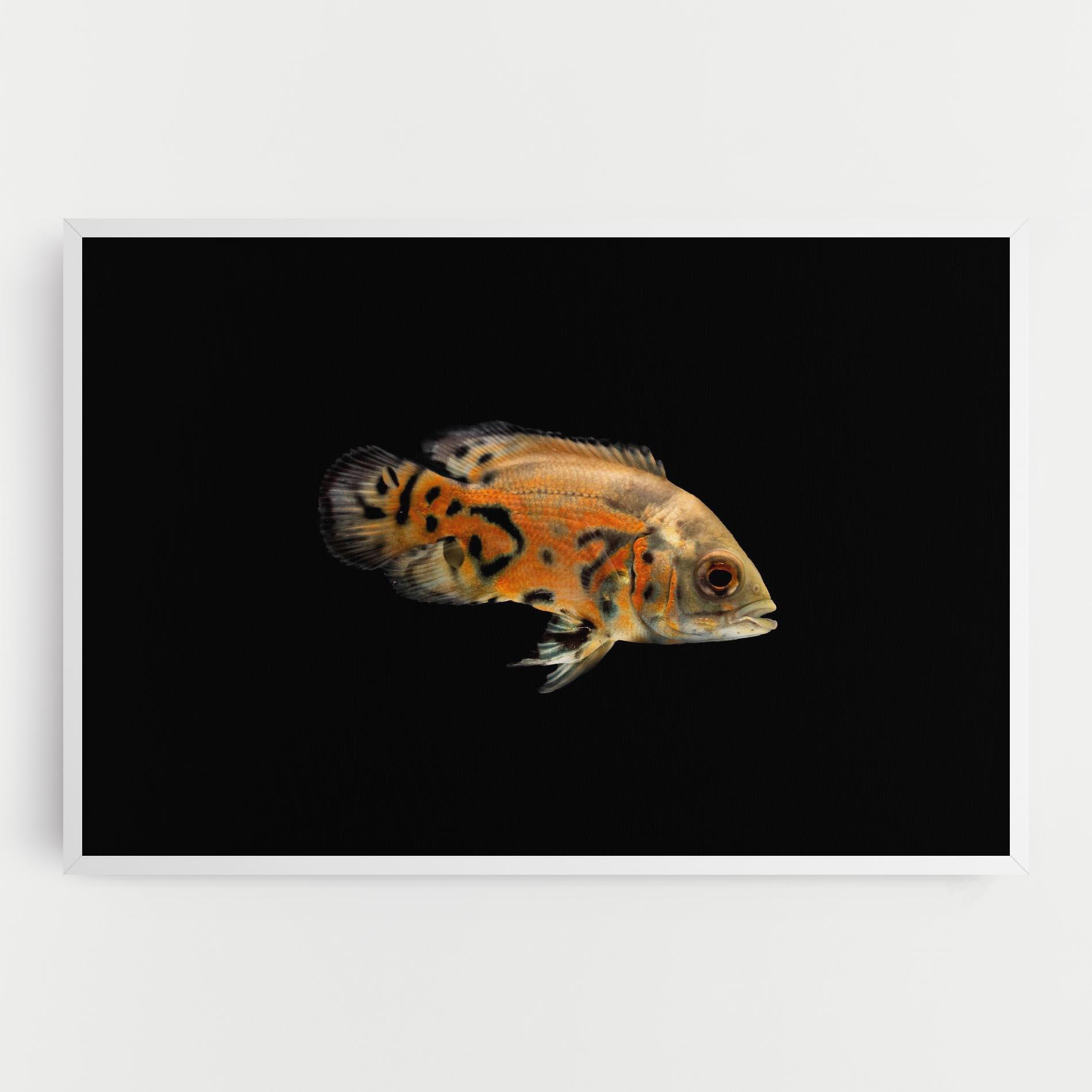 Vászonkép Cute Brown Fish mockup 0