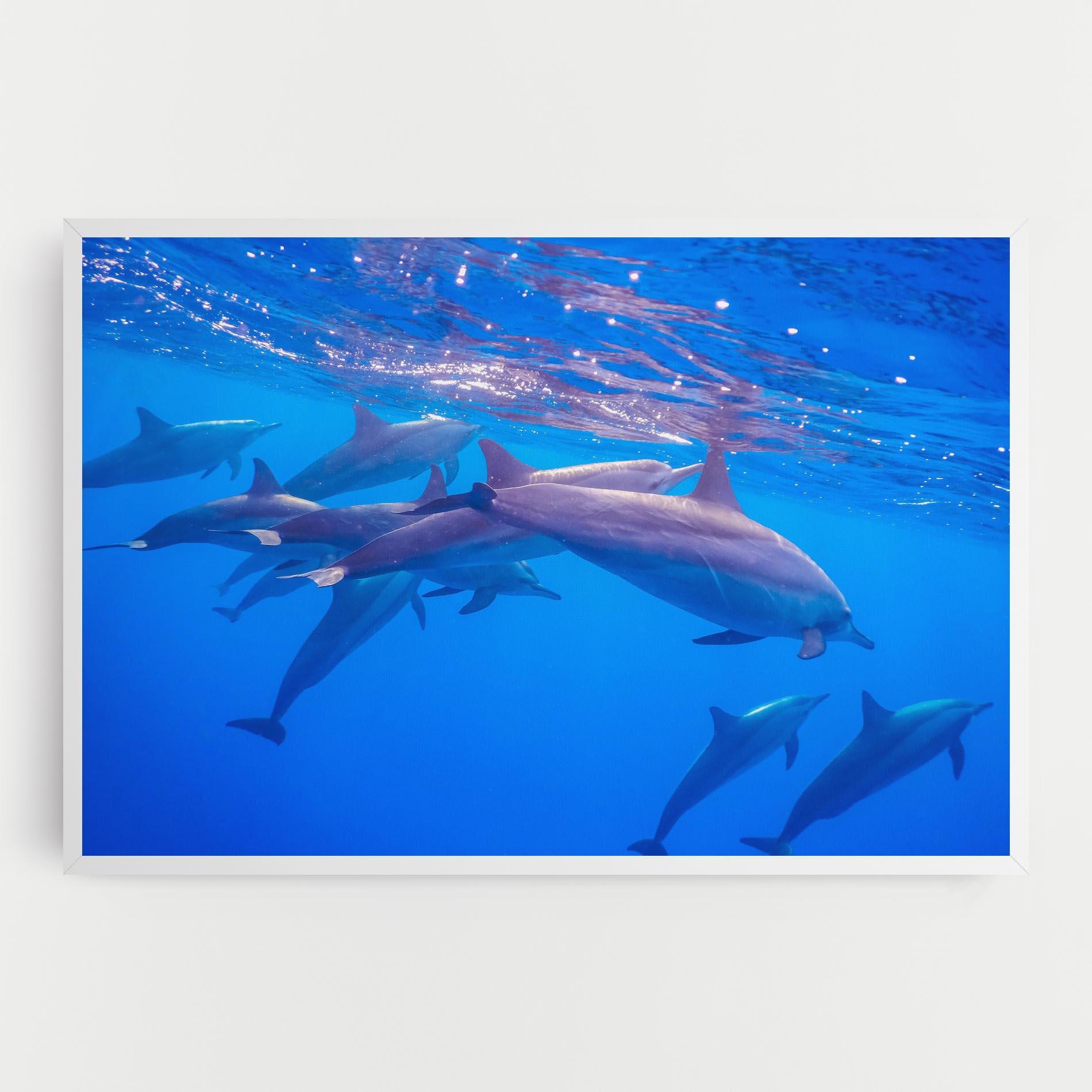 Vászonkép Dolphin Family mockup 0