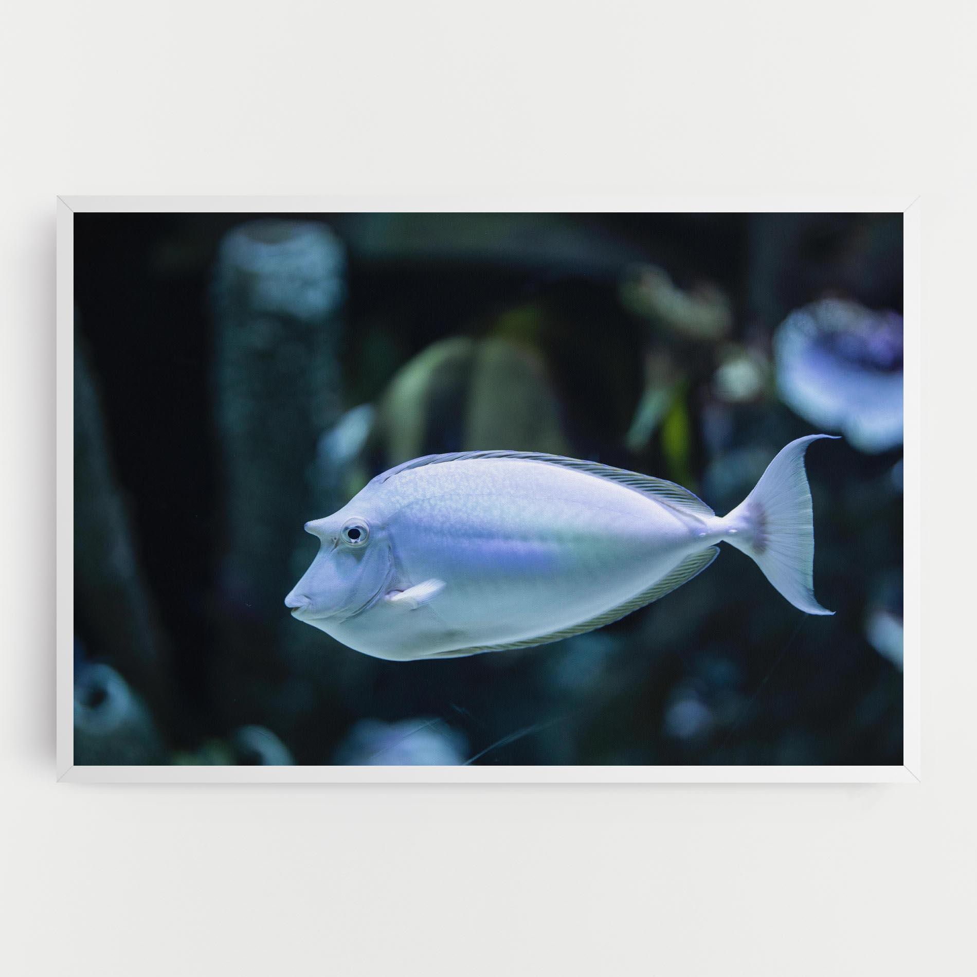 Vászonkép Funny Face Fish mockup 0