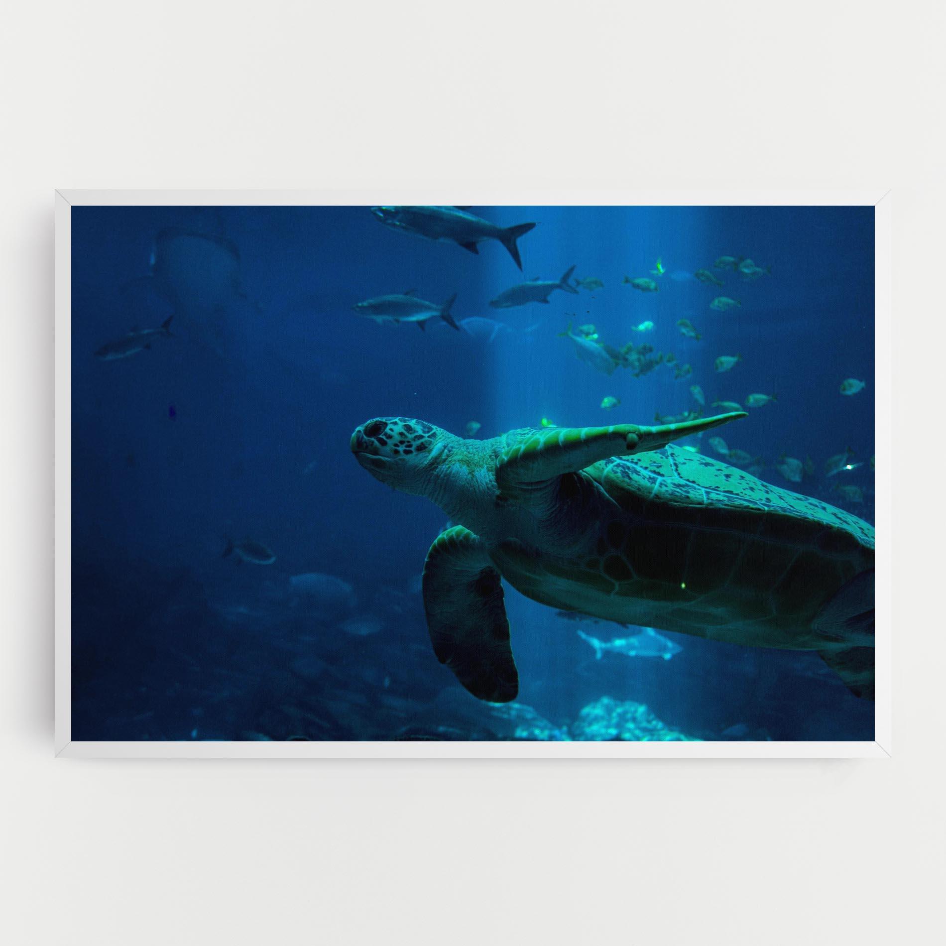 Vászonkép Green Turtule mockup 0