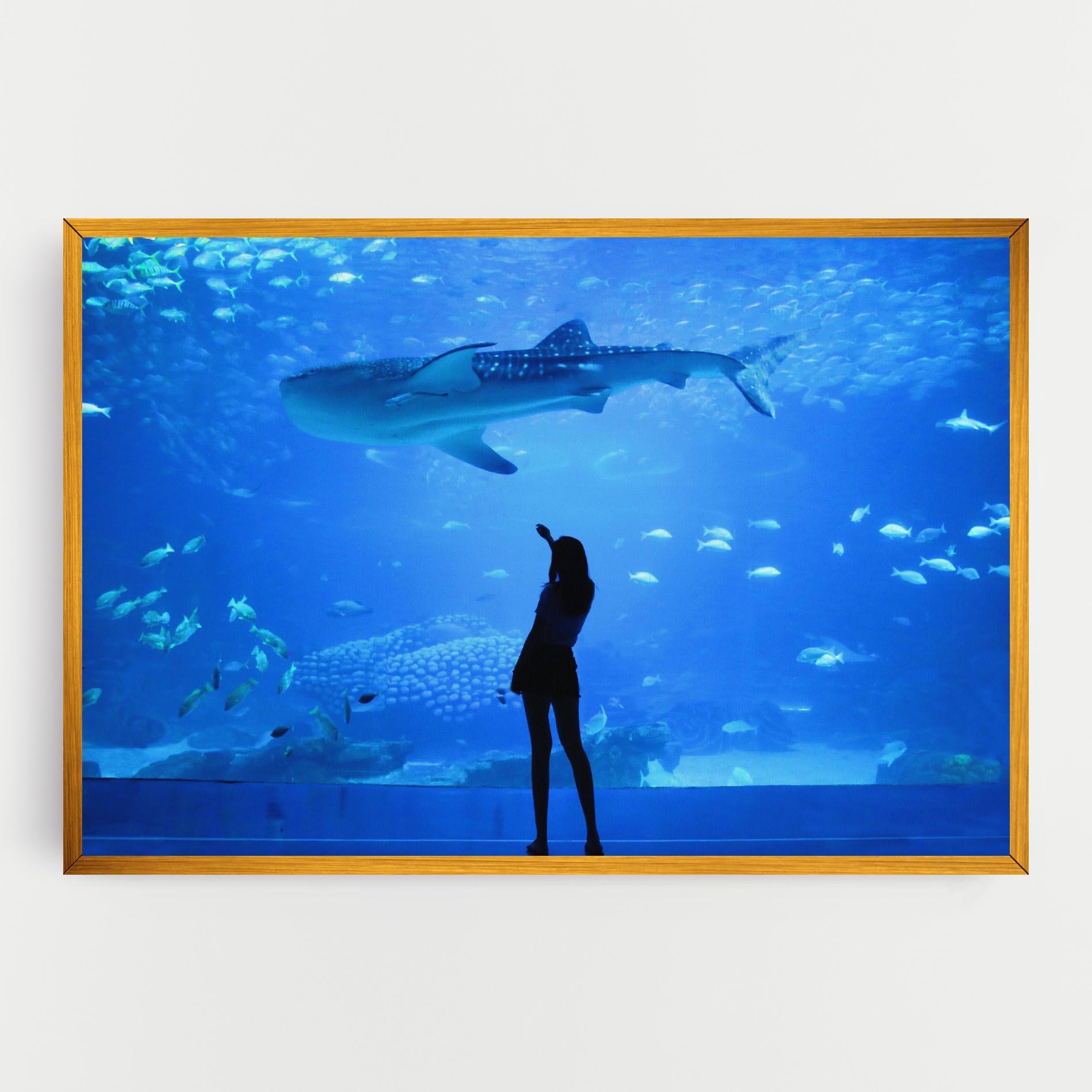 Vászonkép Aquarium Girl mockup 0
