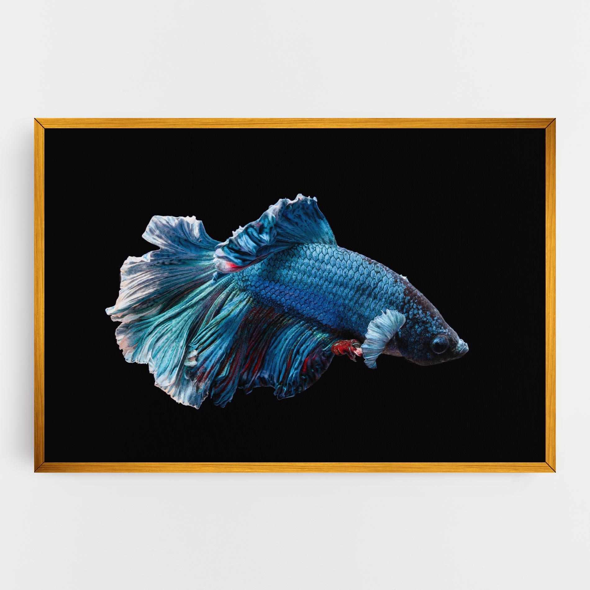 Vászonkép Blue Betta mockup 0