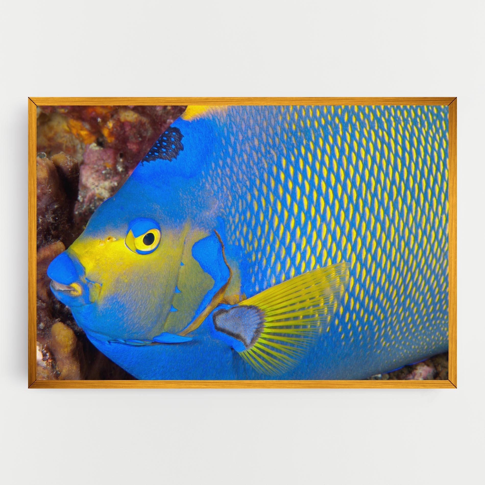 Vászonkép Blue Yellow Fish mockup 0