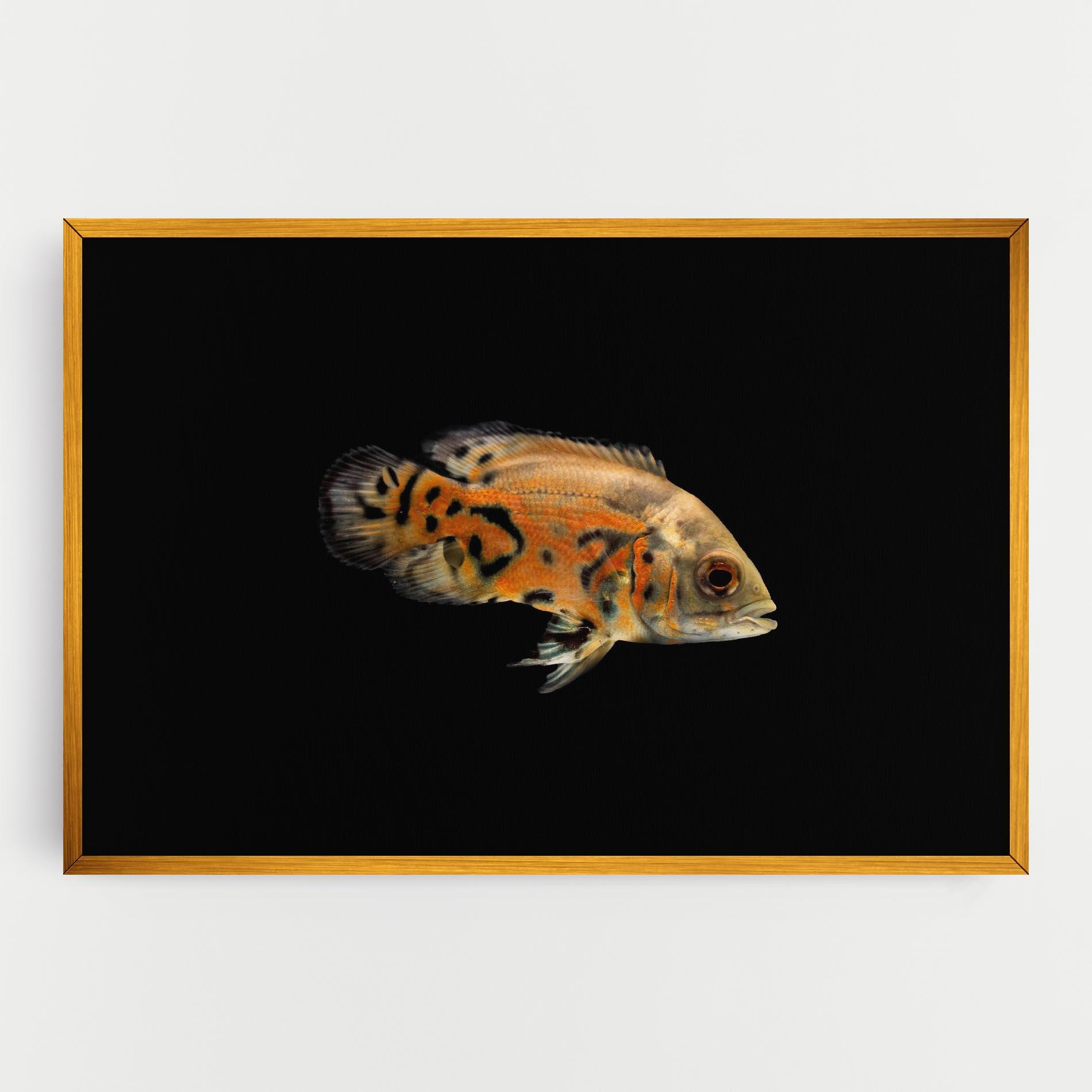 Vászonkép Cute Brown Fish mockup 0