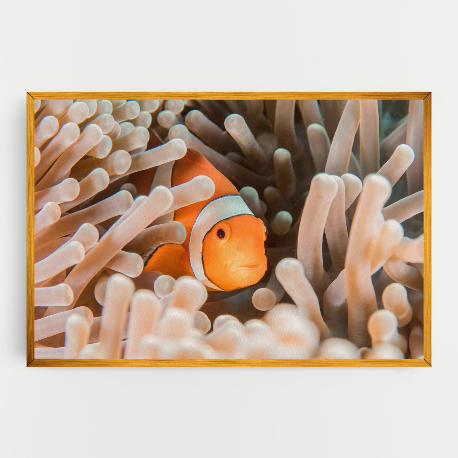 Vászonkép Cute Nemo mockup 0