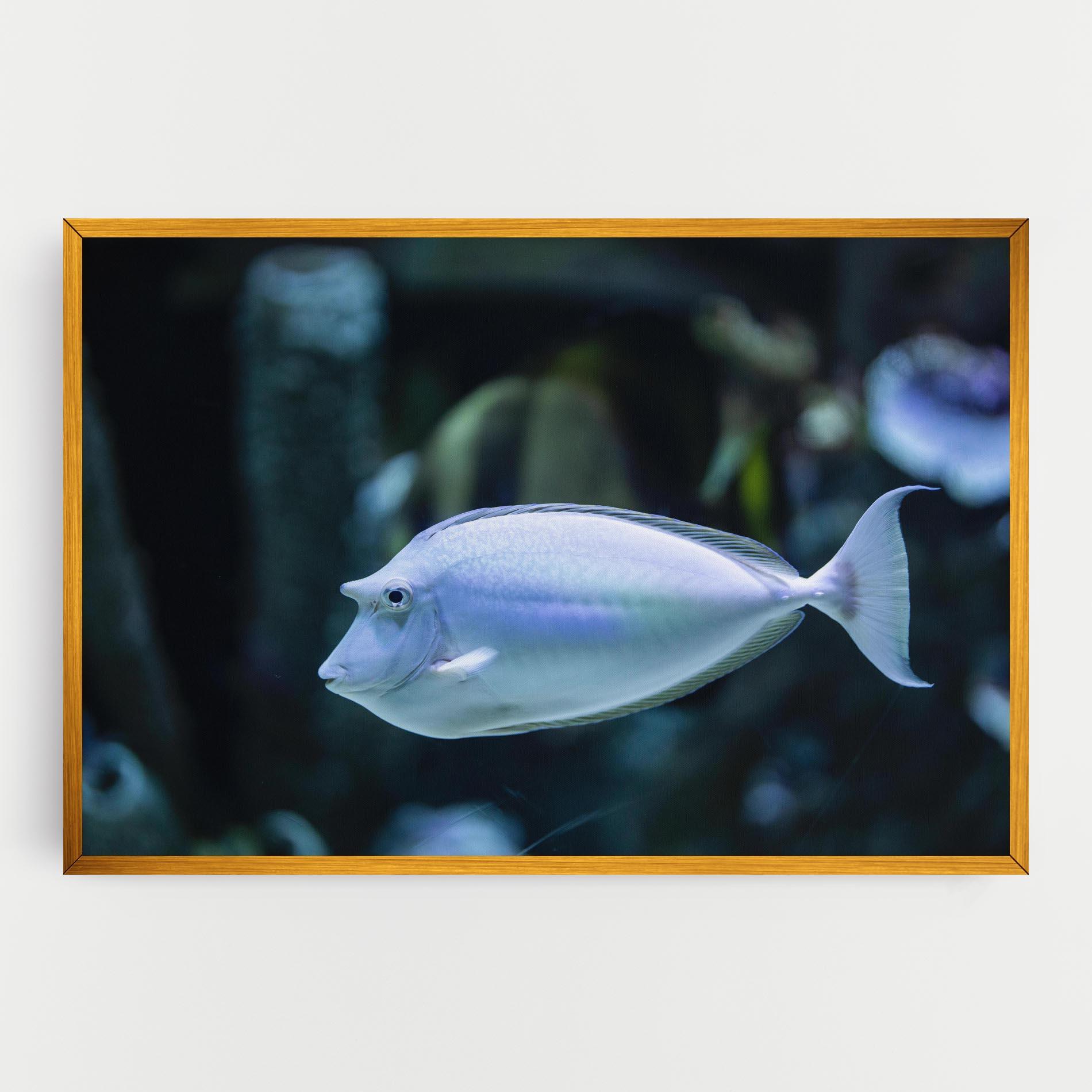 Vászonkép Funny Face Fish mockup 0