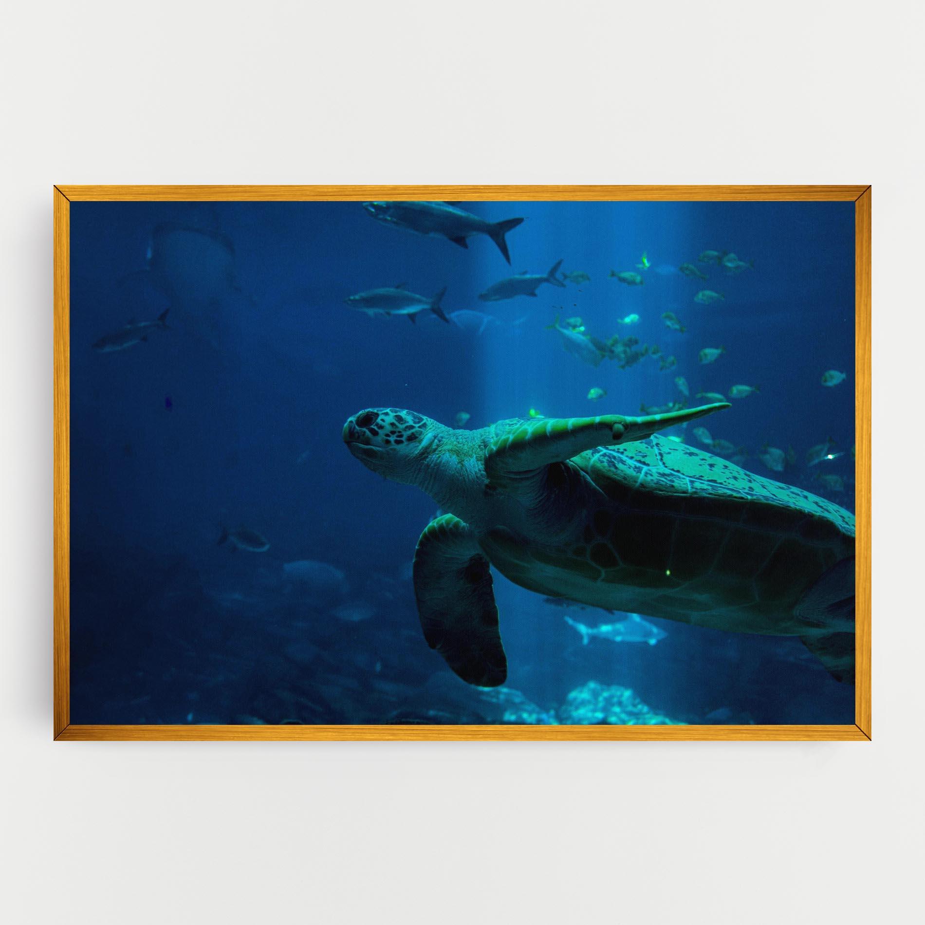 Vászonkép Green Turtule mockup 0