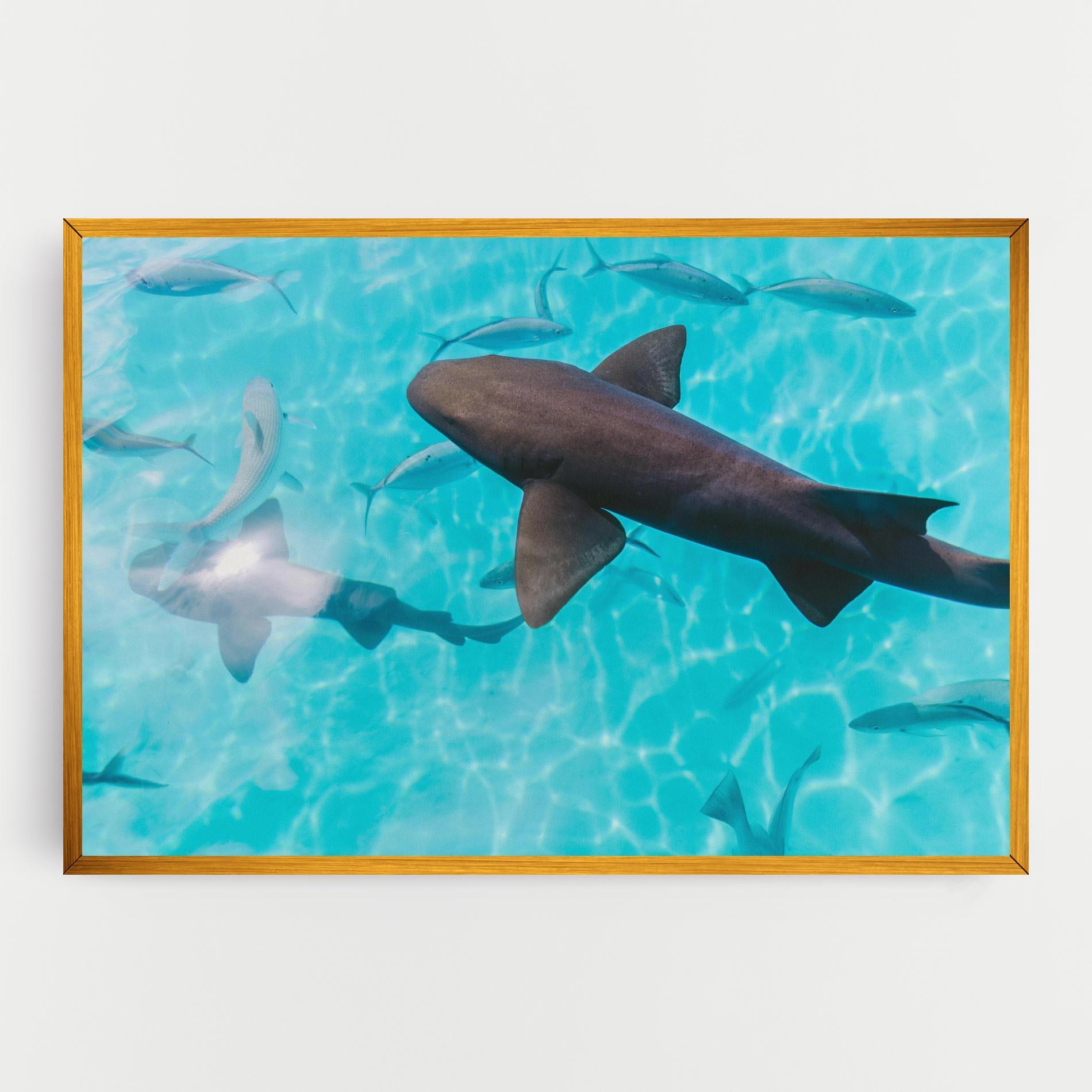 Vászonkép Pretty Shark mockup 0