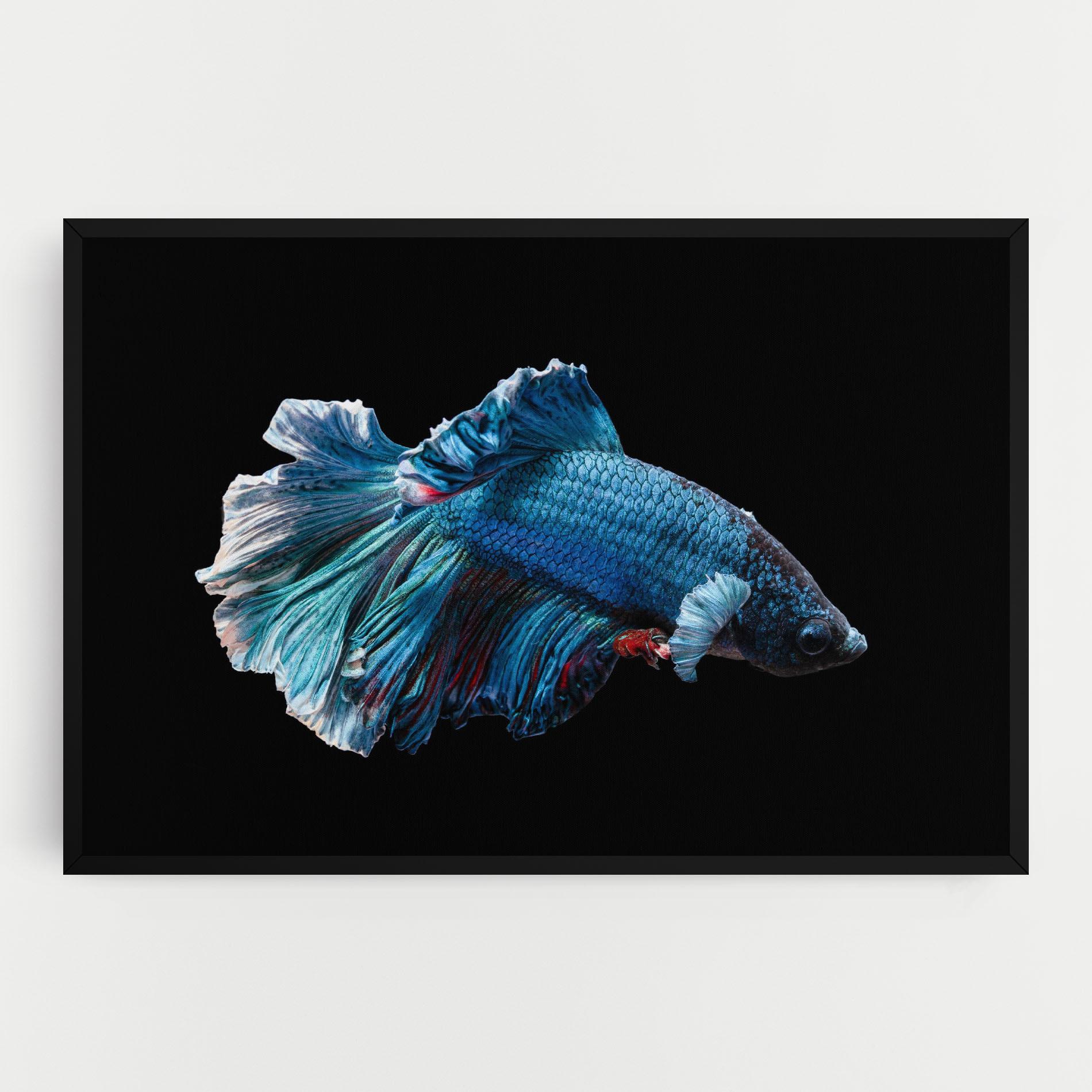 Vászonkép Blue Betta mockup 0