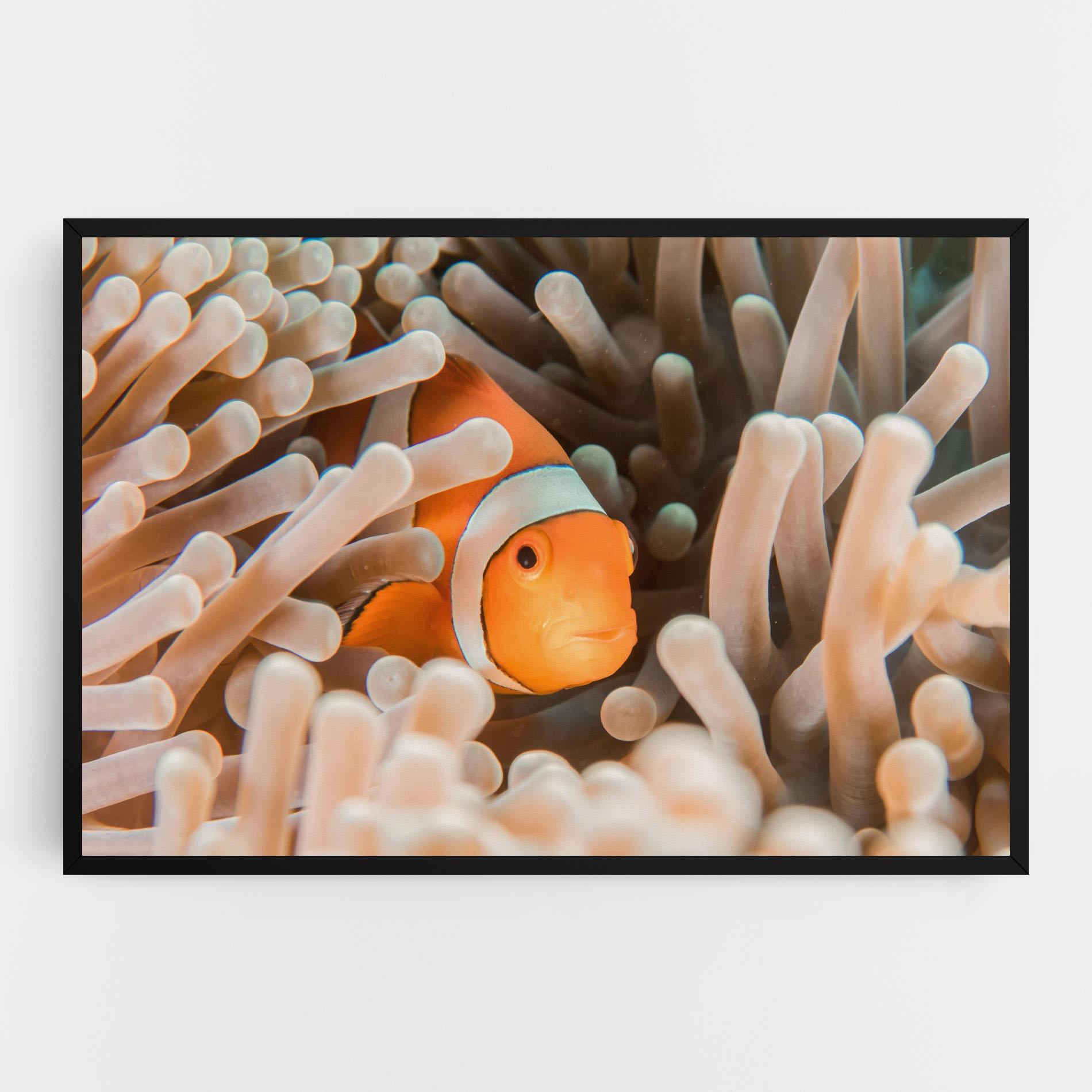 Vászonkép Cute Nemo mockup 0