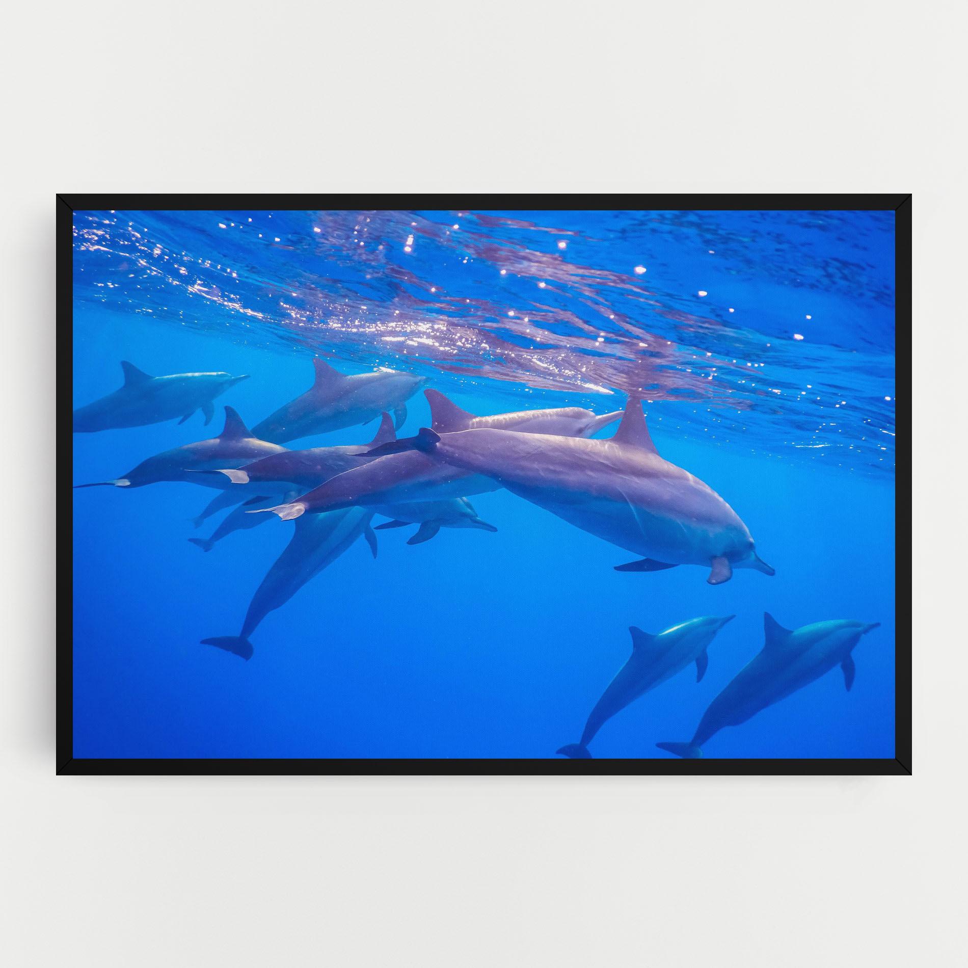 Vászonkép Dolphin Family mockup 0